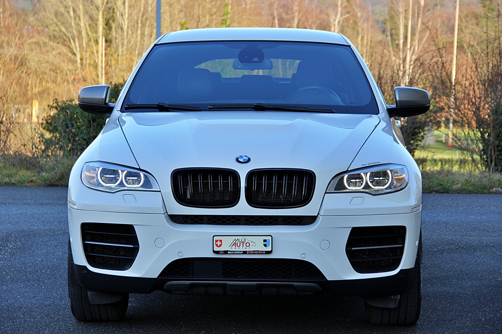 BMW X6 M50d Steptronic-image-7