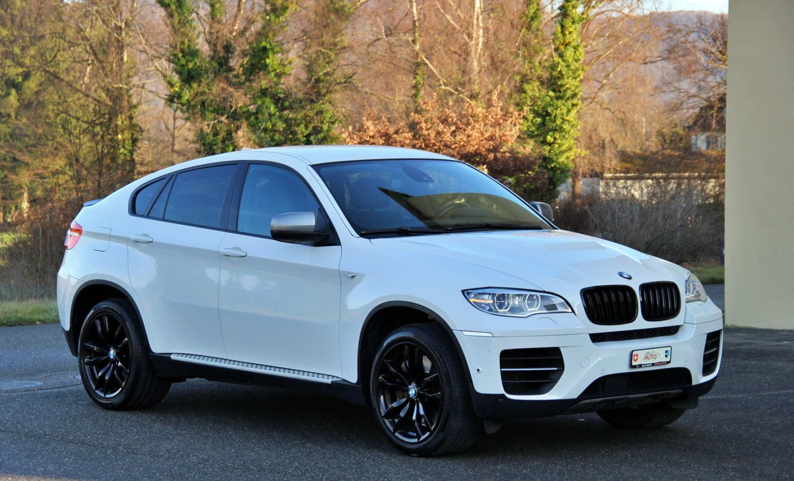 BMW X6 M50d Steptronic-image-6