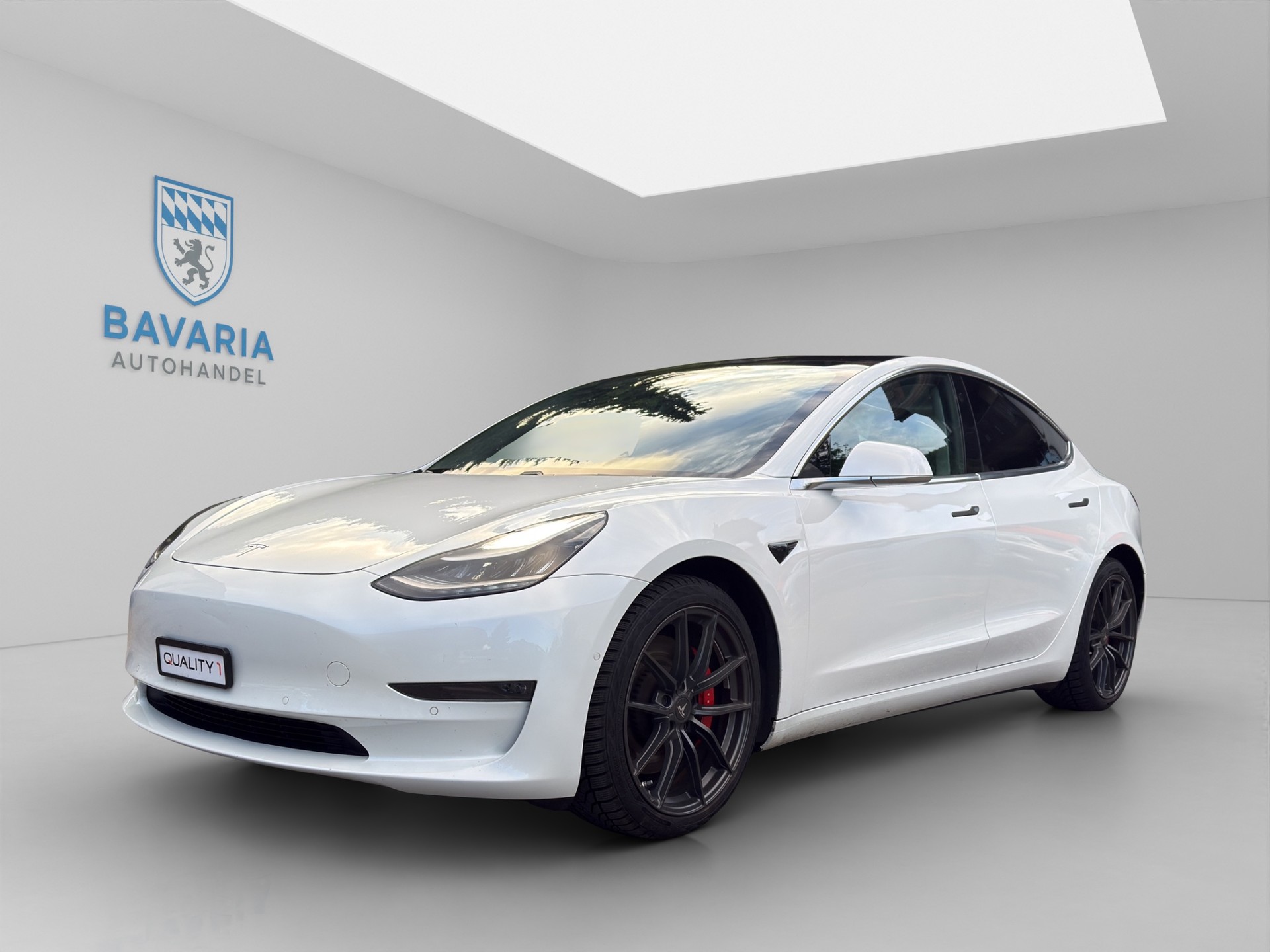 TESLA Model 3 Performance Dual Motor AWD *Frisch ab MFK*