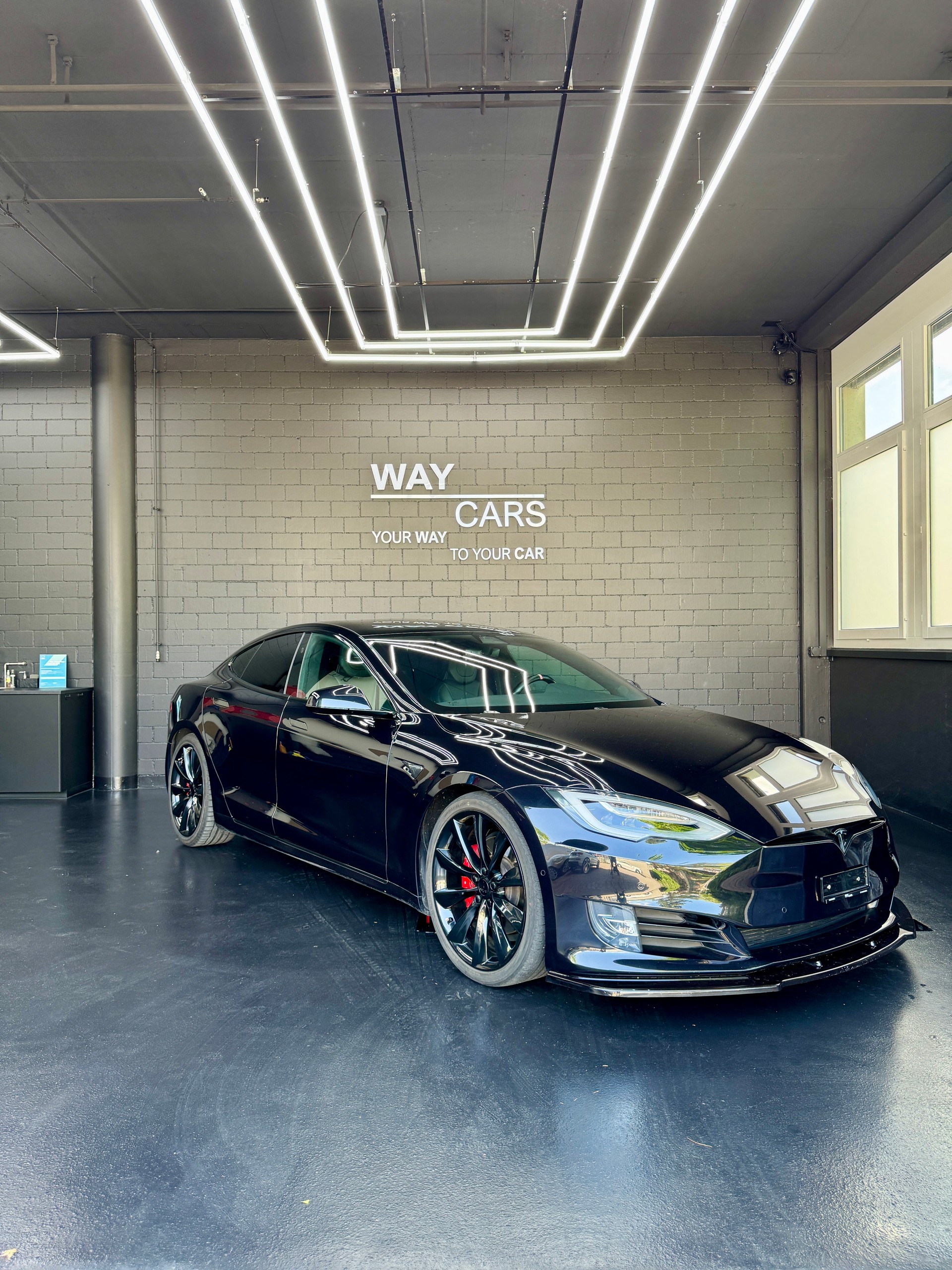 TESLA Model S 100 D Performance-image-0