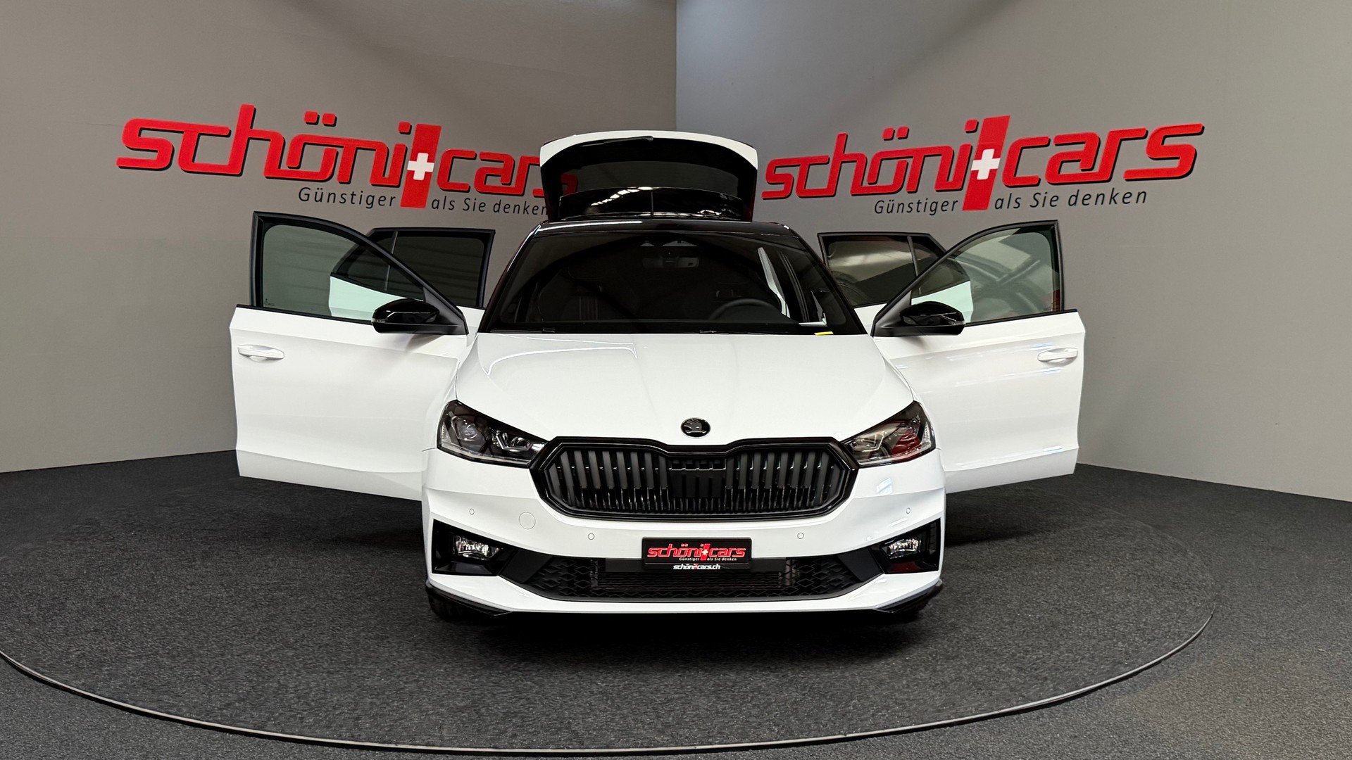 SKODA Fabia 1.0 TSI Monte Carlo DSG-image-9