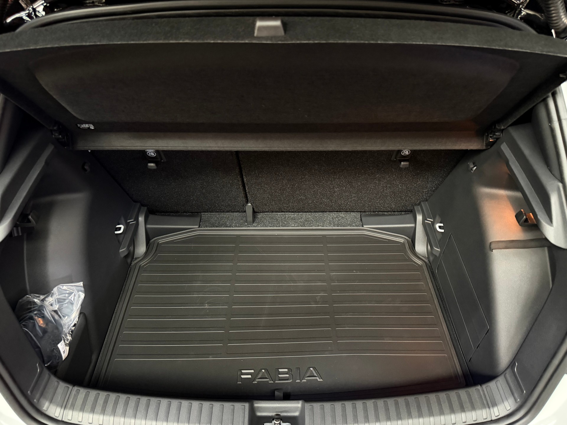 SKODA Fabia 1.0 TSI Monte Carlo DSG-image-13
