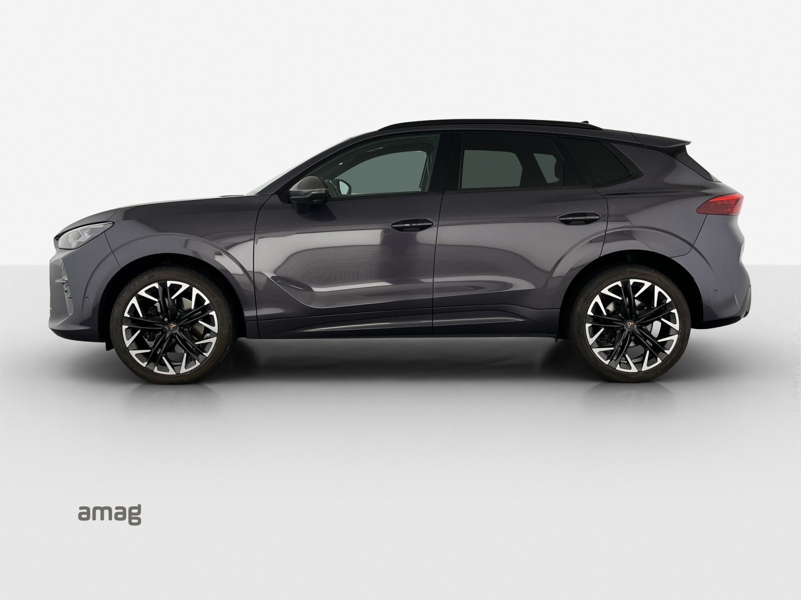 CUPRA Terramar 2.0 TSI DSG 4Drive VZ-image-1