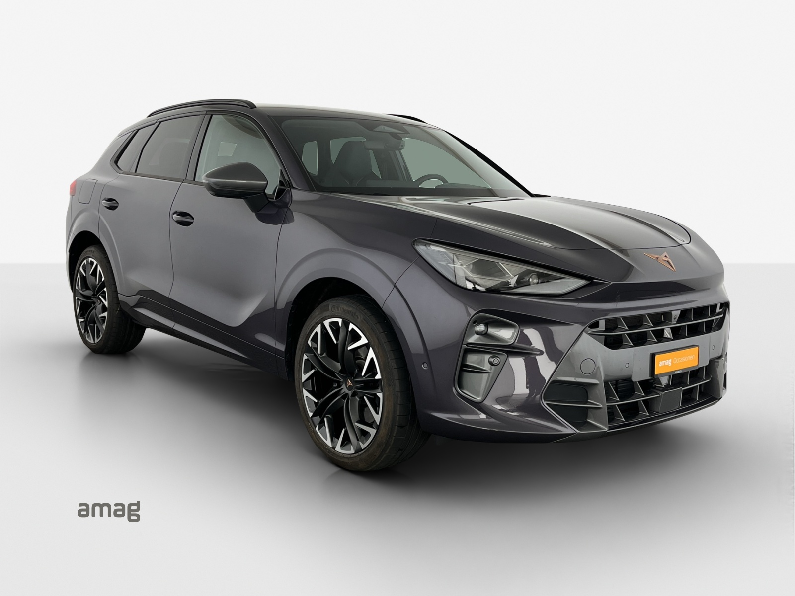 CUPRA Terramar 2.0 TSI DSG 4Drive VZ-image-5