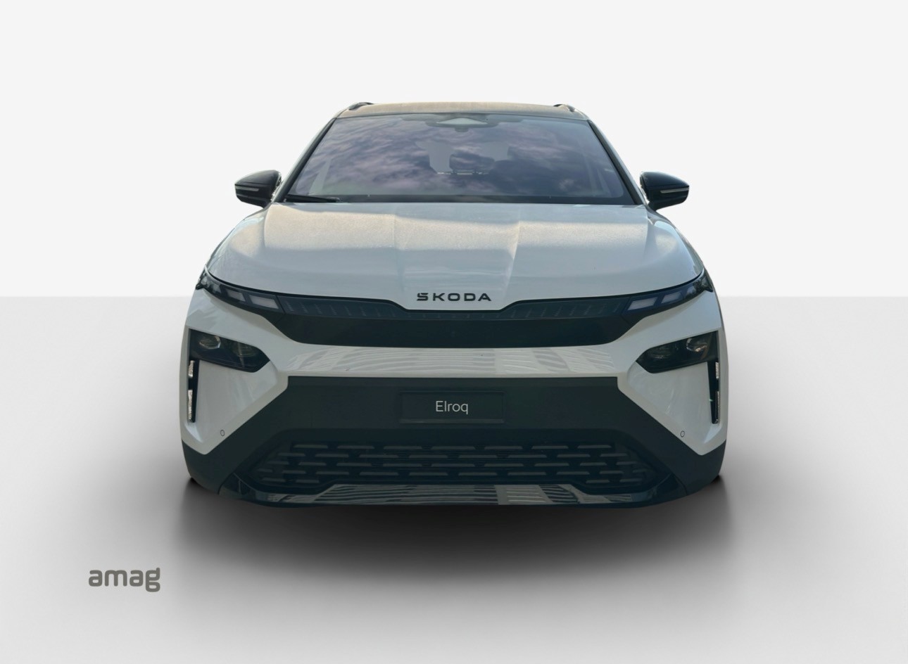 SKODA Elroq 85x Sportline 4x4-image-0