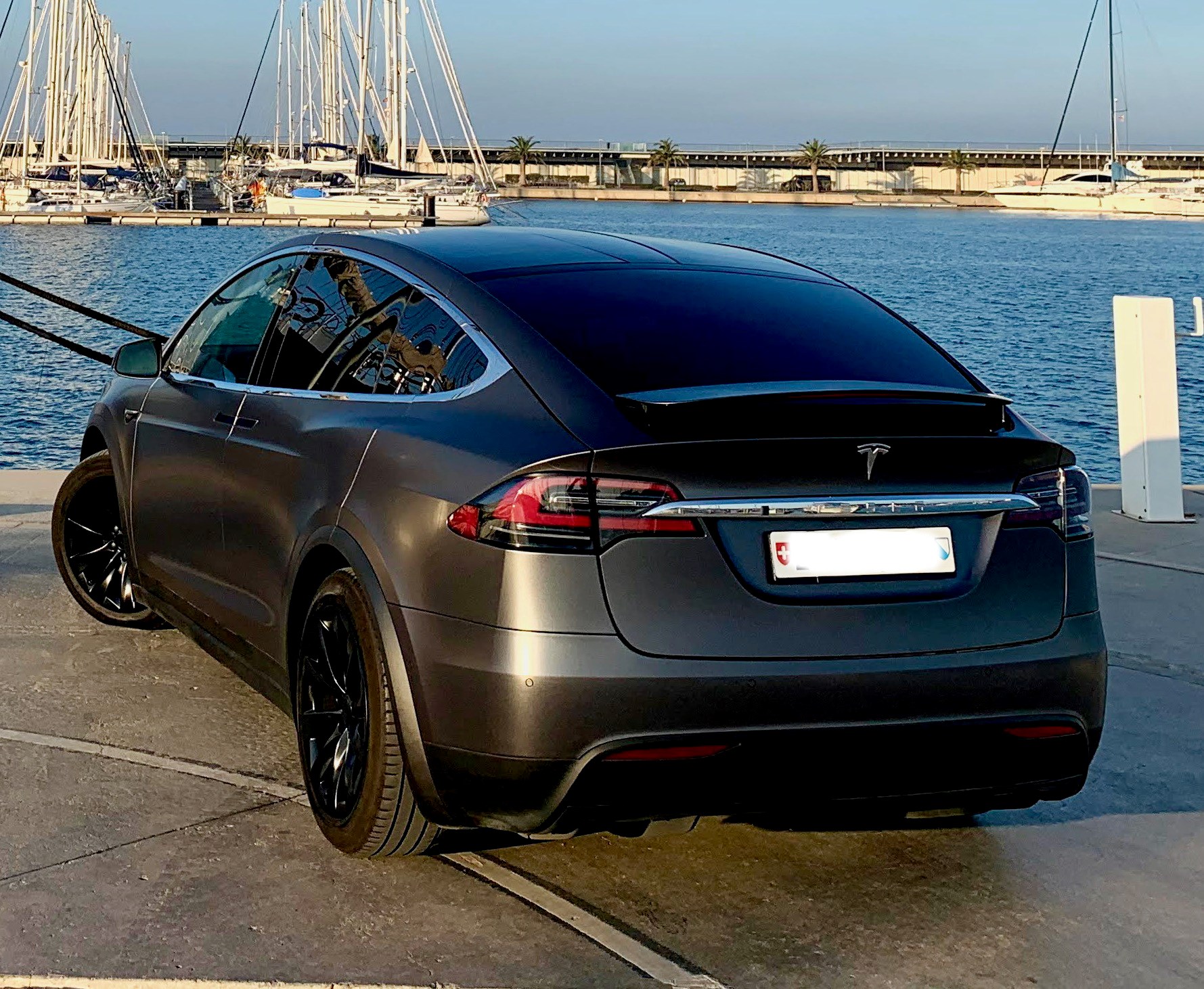 TESLA Model X 100 D-image-1