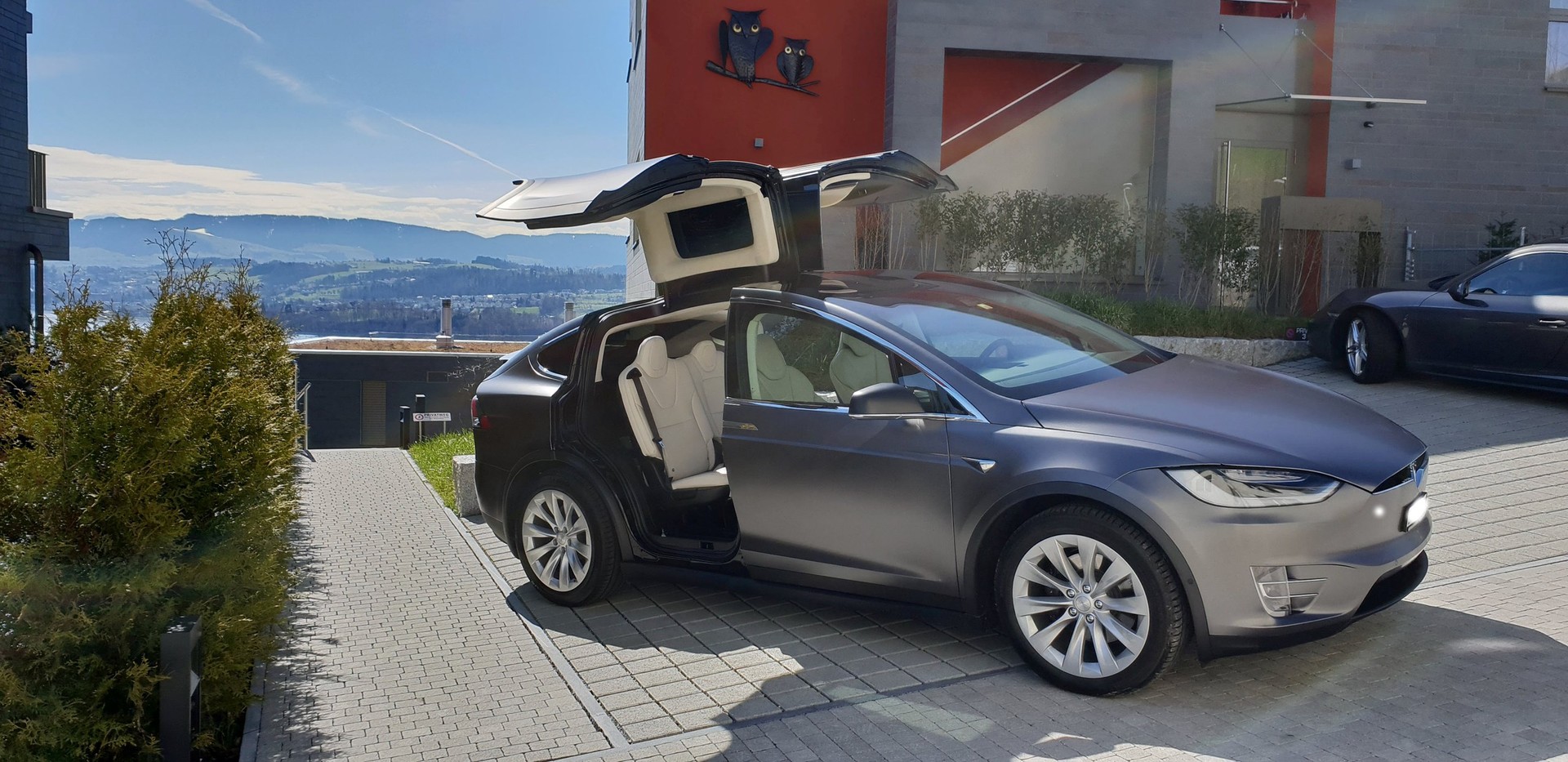 TESLA Model X 100 D-image-0