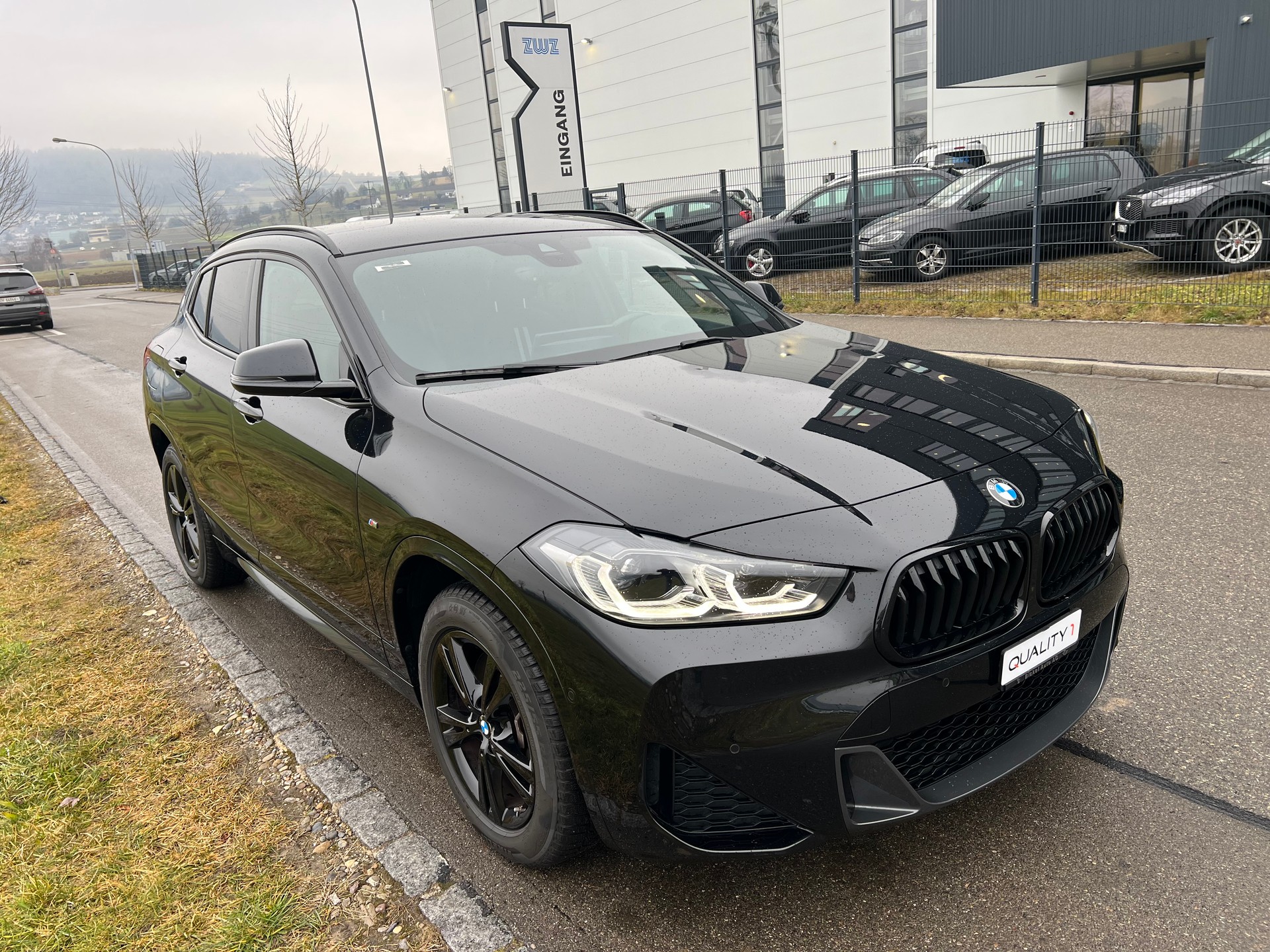 BMW X2 xDrive 25e M Sport Steptronic-image-2