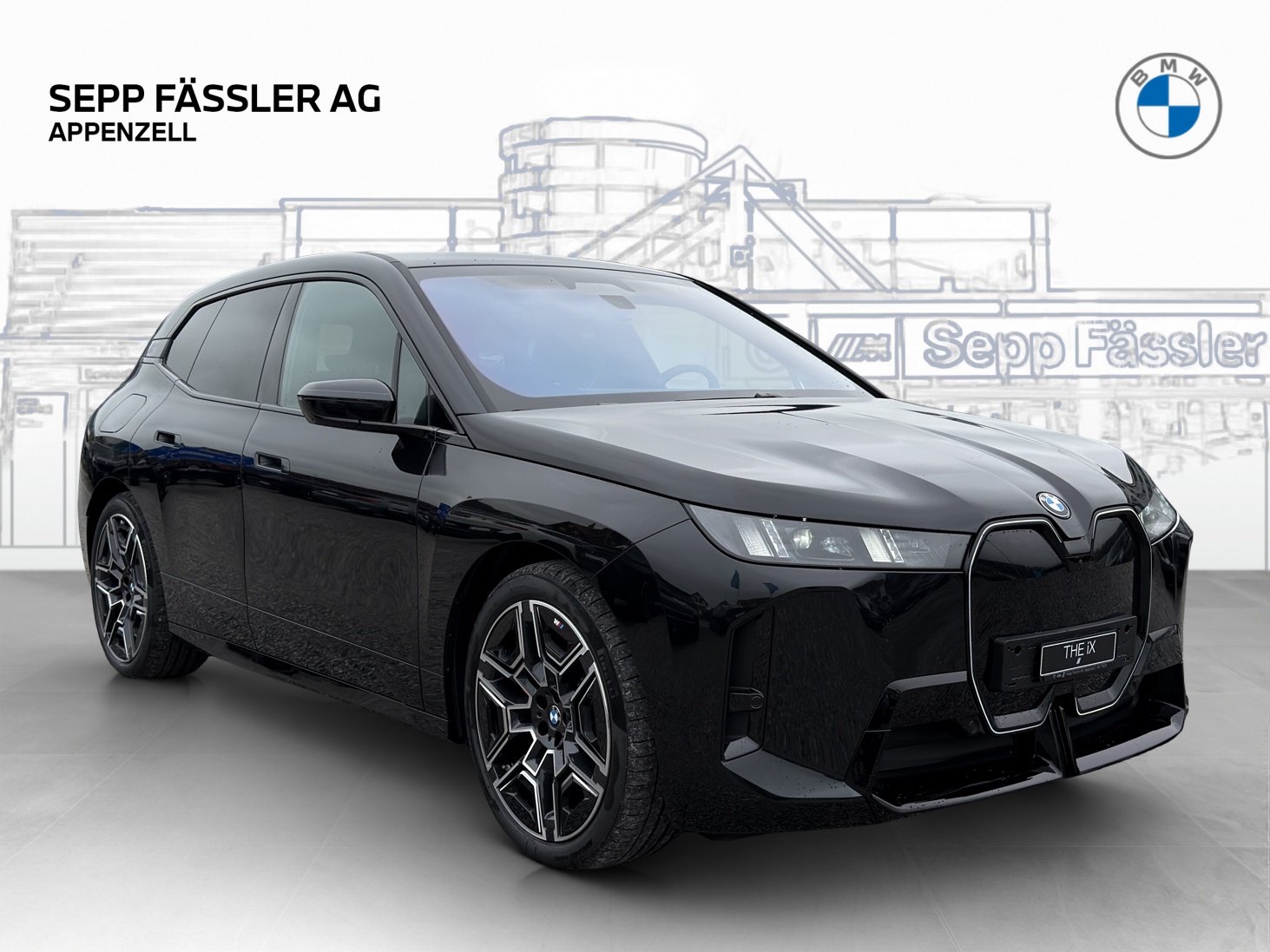 BMW iX xDrive60 M Sport Pro-image-6