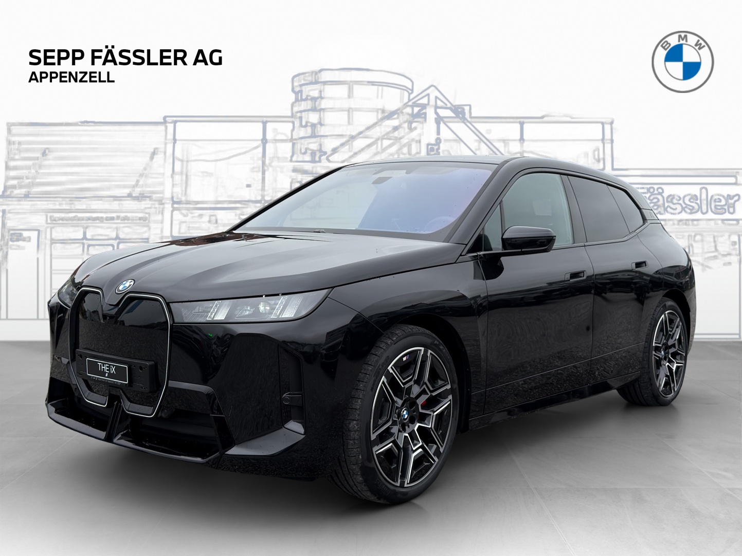 BMW iX xDrive60 M Sport Pro-image-0