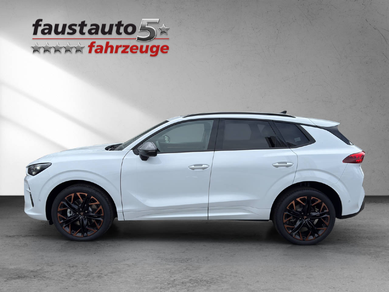 CUPRA Terramar 2.0 TSI Prime Edition 4Drive DSG-image-2
