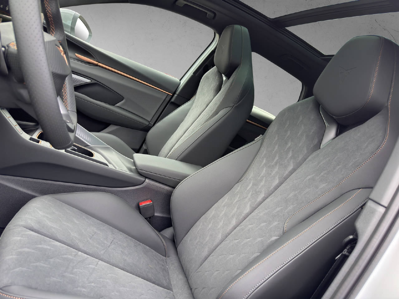 CUPRA Terramar 2.0 TSI Prime Edition 4Drive DSG-image-14