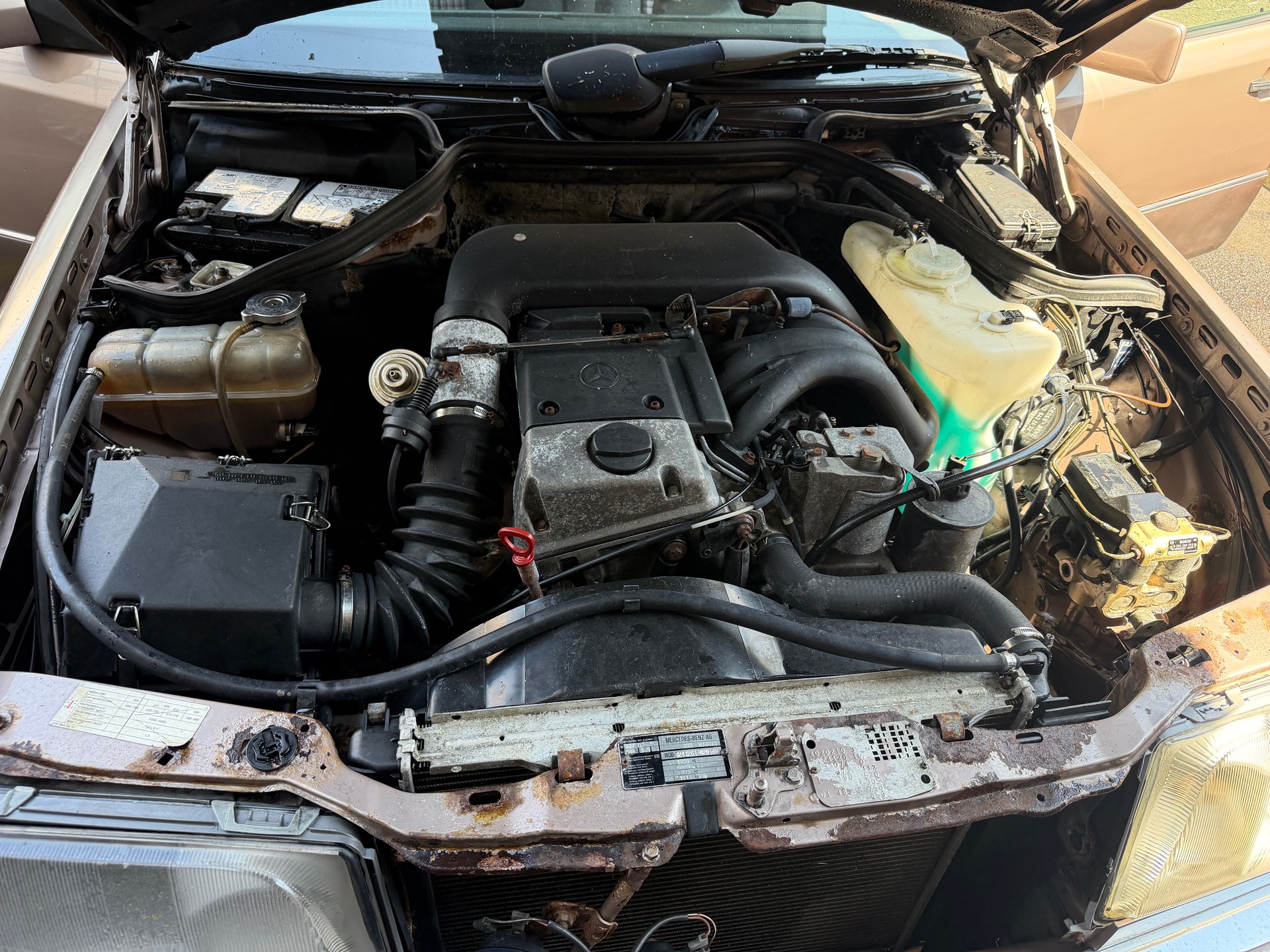 MERCEDES-BENZ 250 D Turbo-image-10