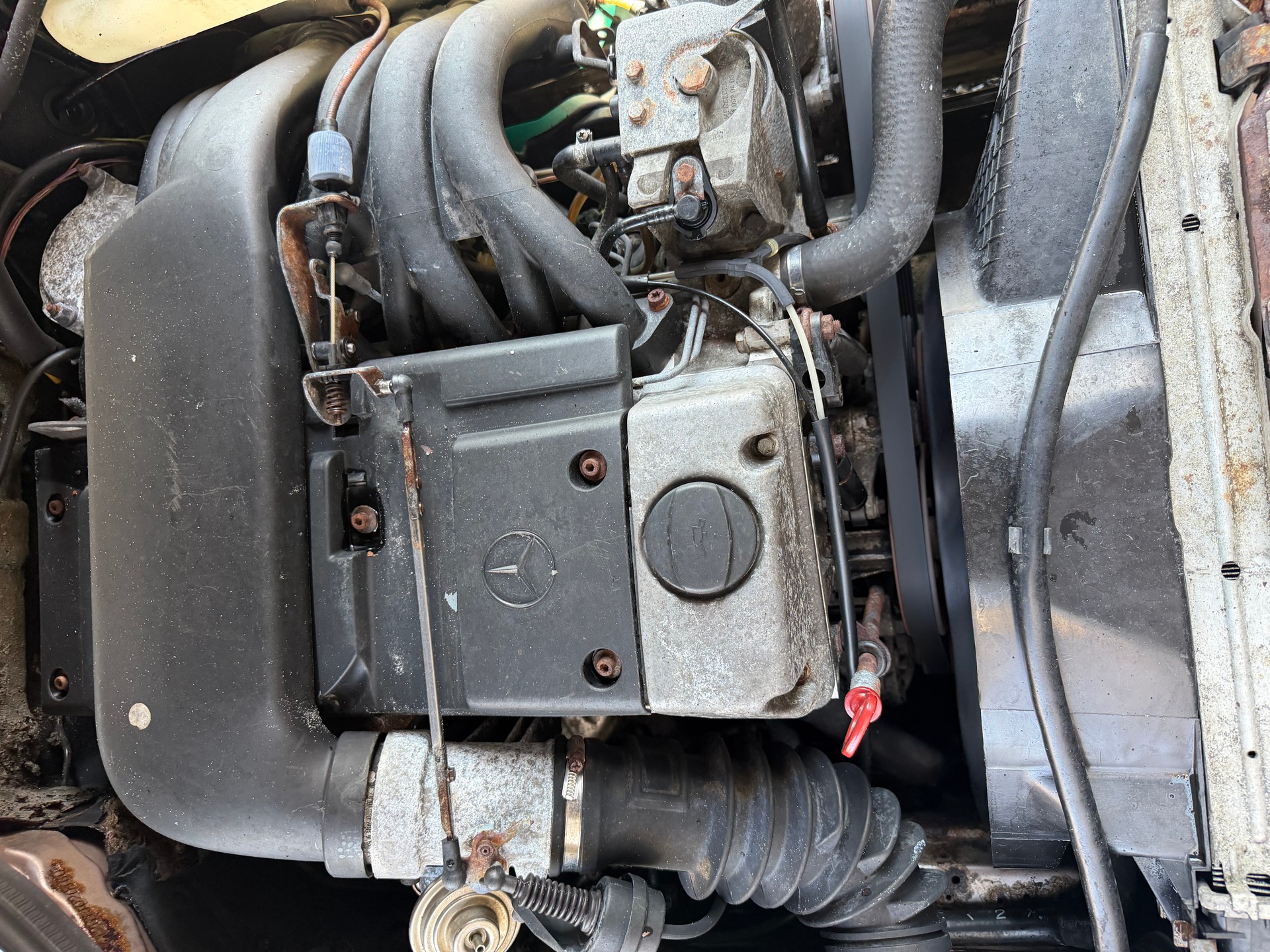 MERCEDES-BENZ 250 D Turbo-image-11