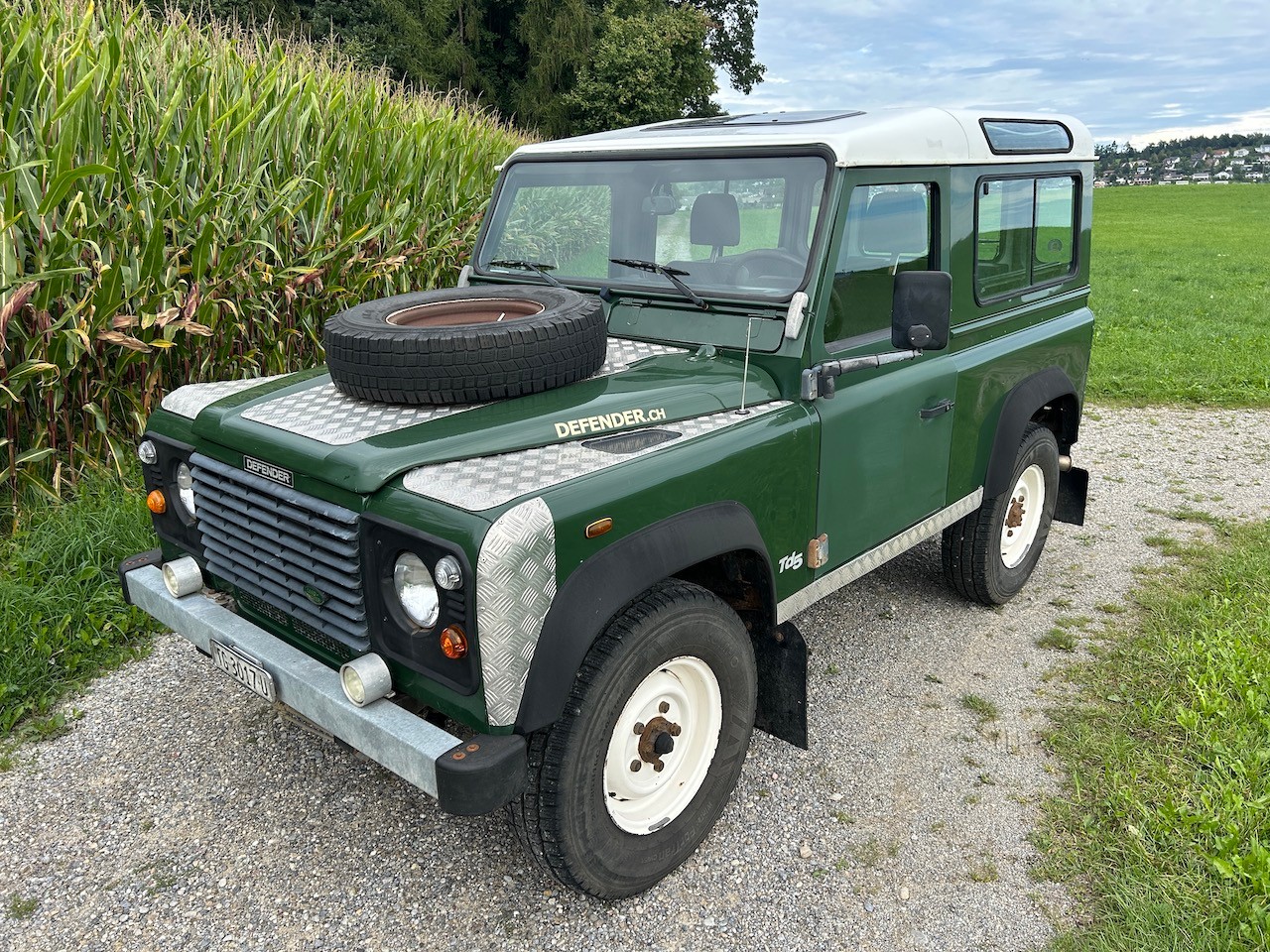 LAND ROVER Defender 90 SW 2.5 Td5-image-0