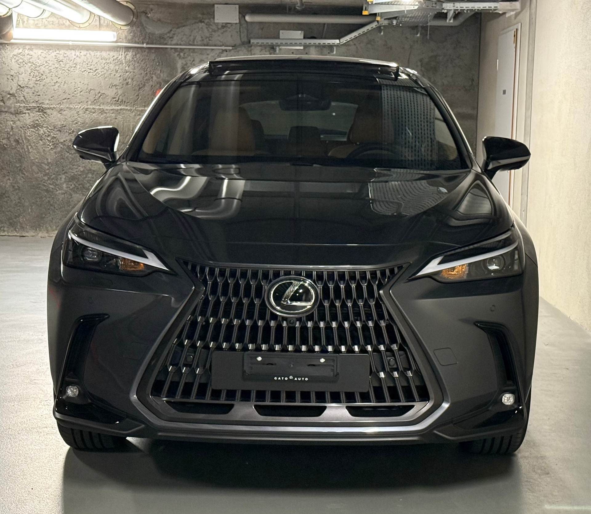LEXUS NX 450h+ E-FOUR Comfort-image-5