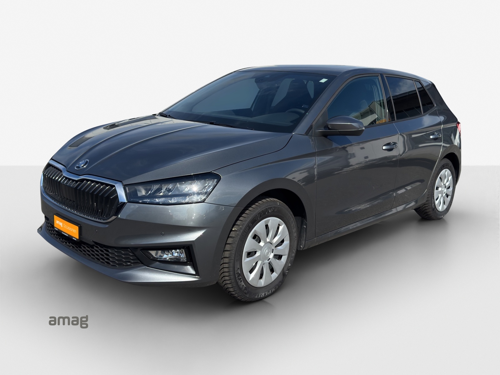 SKODA Fabia 1.0 TSI Selection DSG-image-0