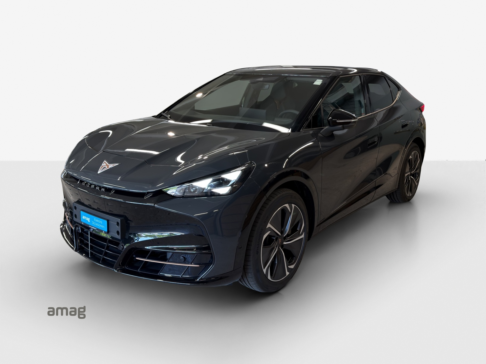 CUPRA Tavascan Type 8 77 kWh VZ-image-0