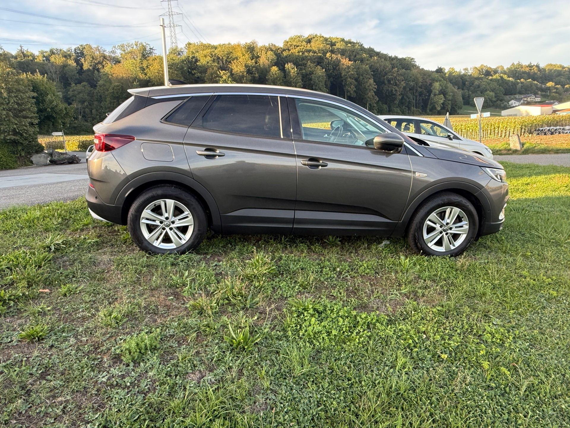 OPEL Grandland X 1.2i TP Excellence Automatik-image-3
