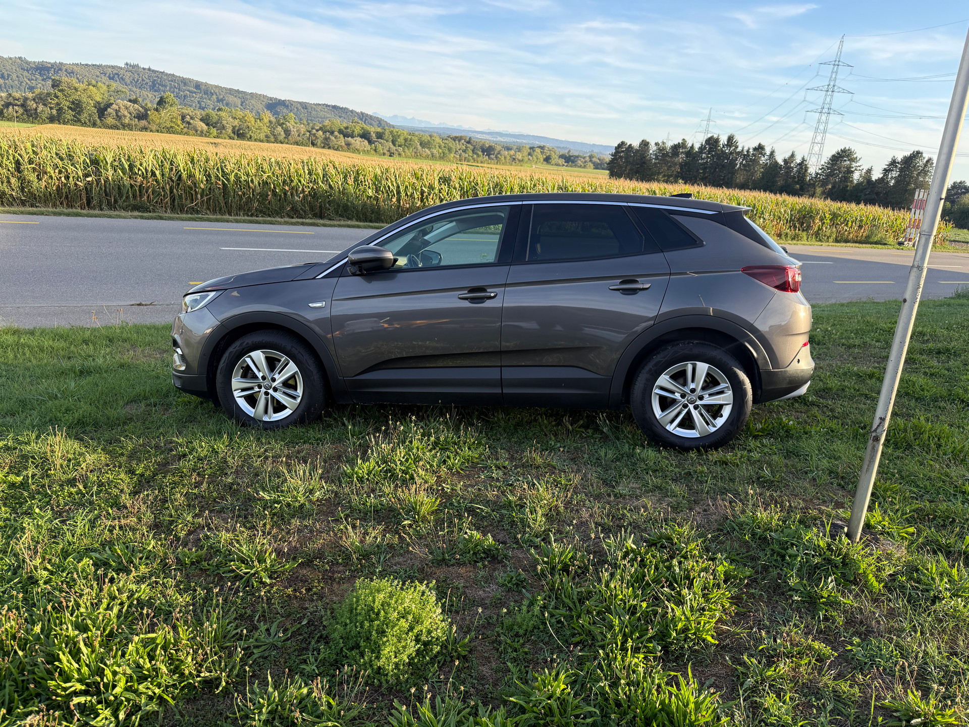 OPEL Grandland X 1.2i TP Excellence Automatik-image-1