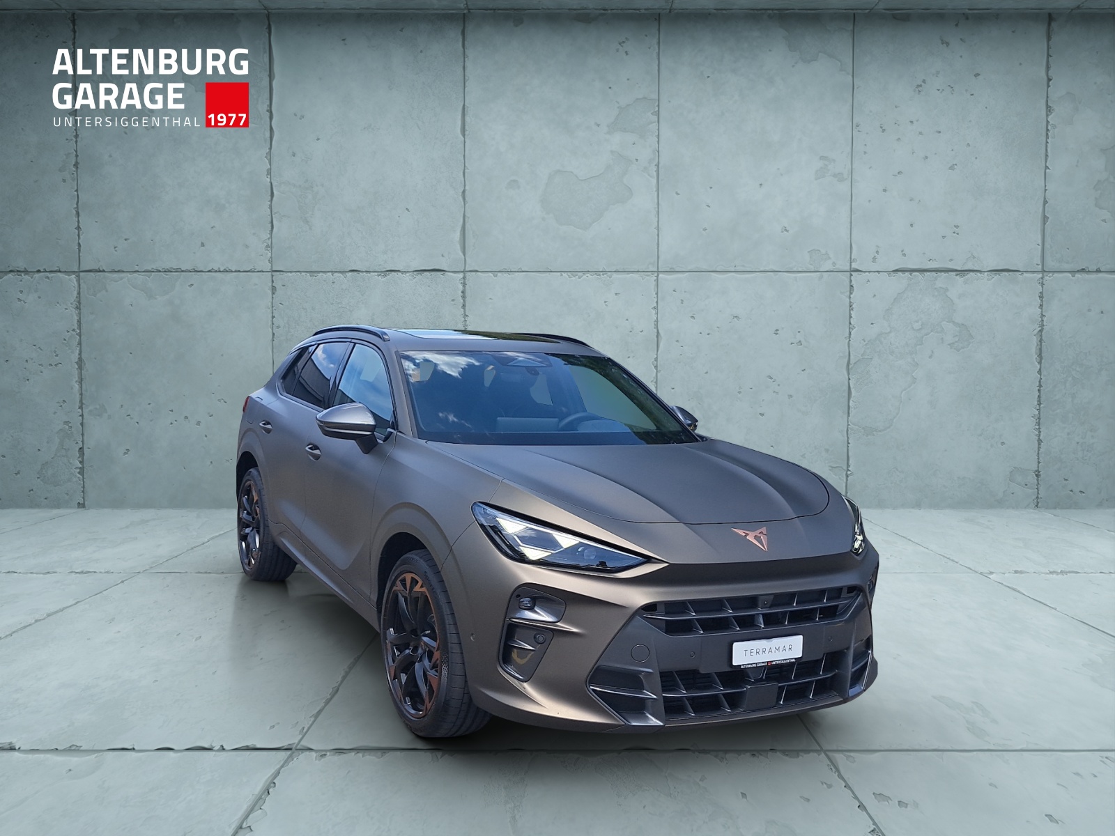CUPRA Terramar 2.0 TSI DSG Prime Edition VZ 4Drive-image-6