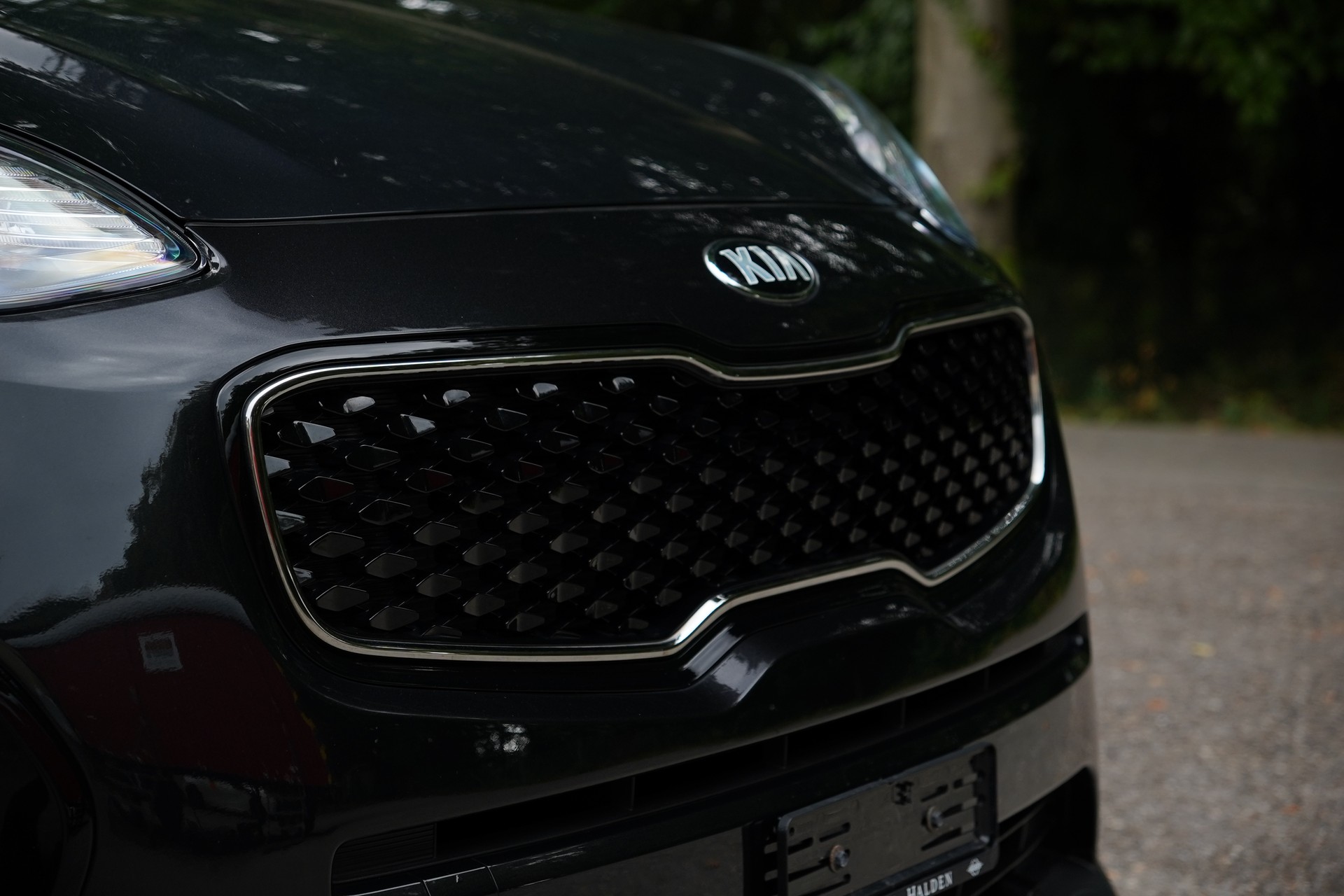 KIA Sportage 1.6 GDi Trend 2WD-image-11