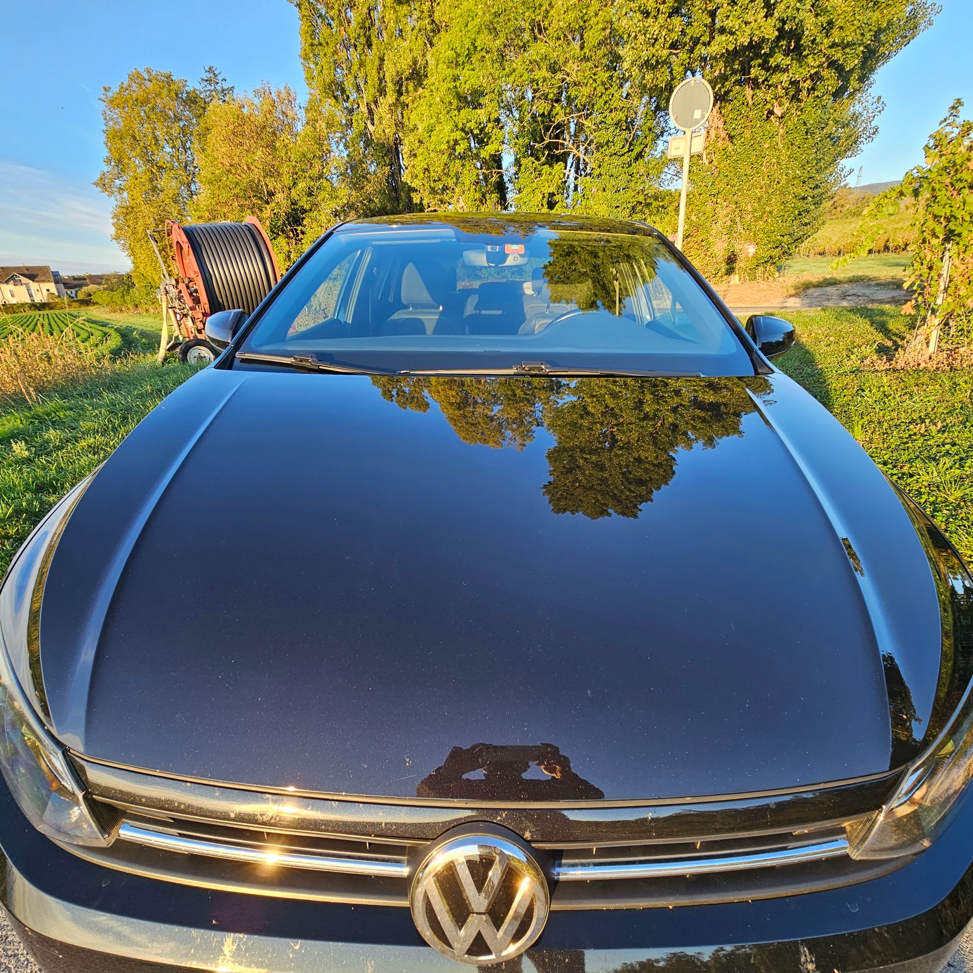 VW POLO 1.5 150CV TSI Comfortline DSG (DISPO DECEMBRE 2026)-image-1