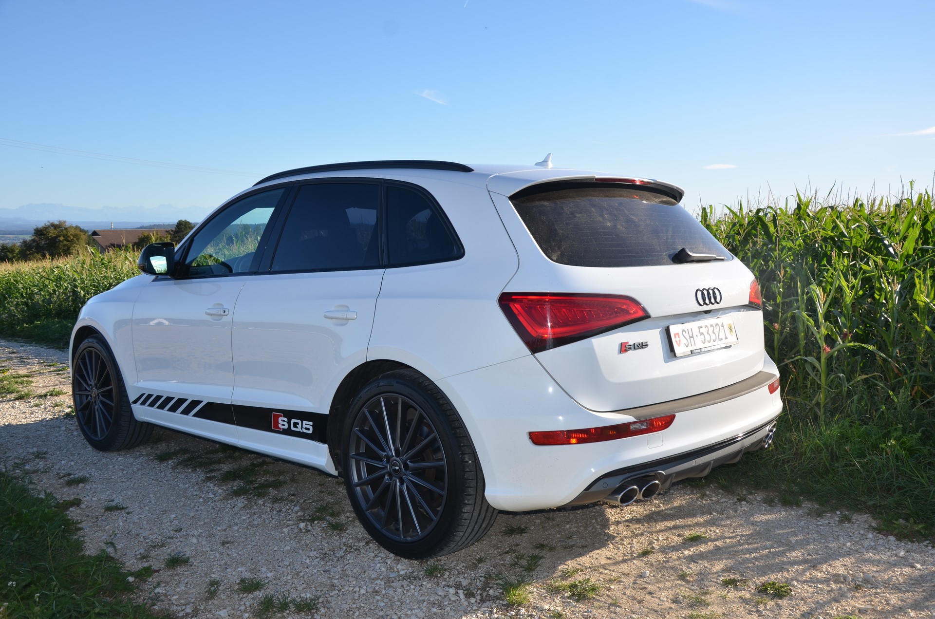 AUDI SQ5 3.0 V6 Bi-TDI quattro T-Tronic-image-1