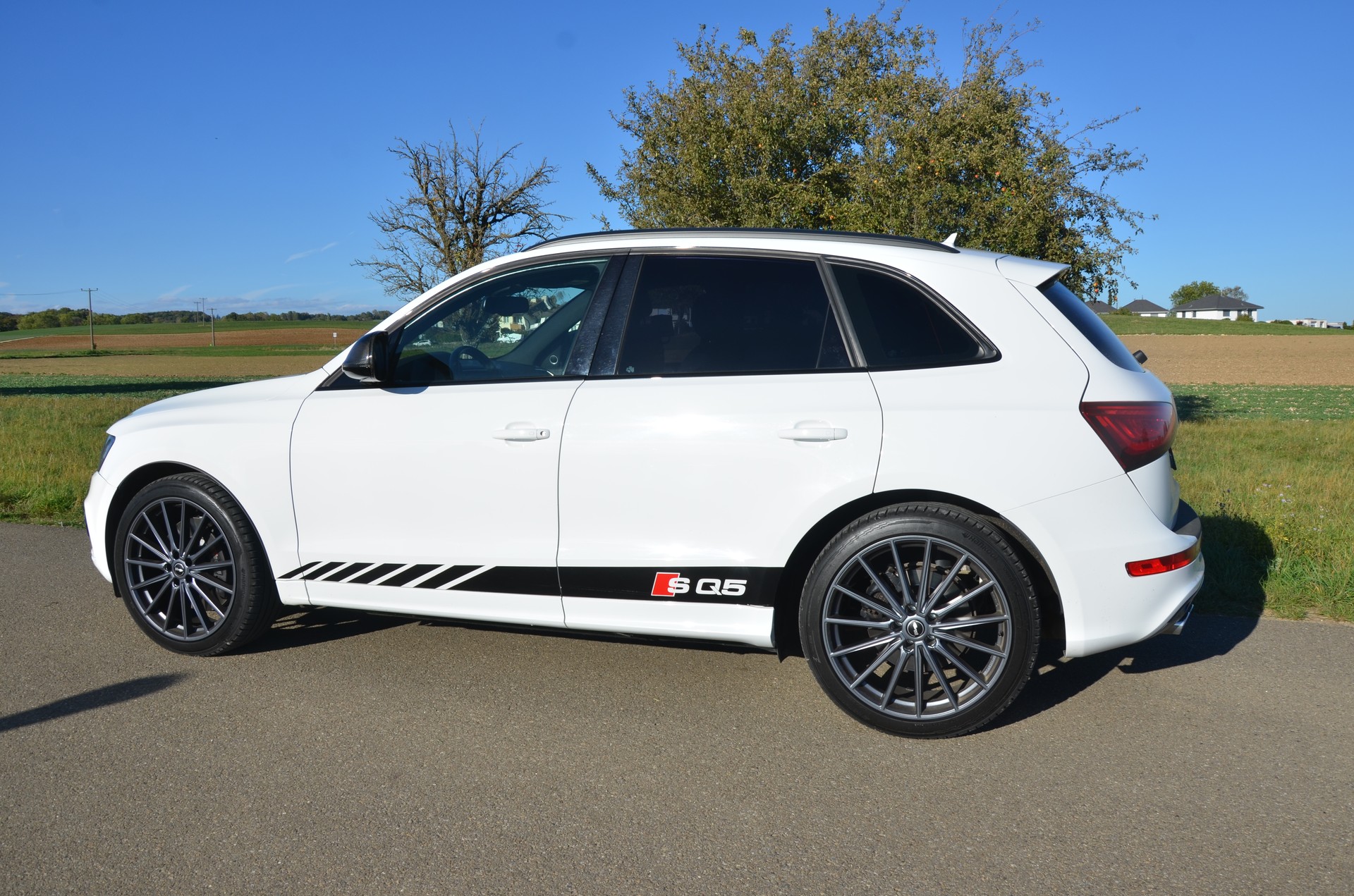 AUDI SQ5 3.0 V6 Bi-TDI quattro T-Tronic-image-5