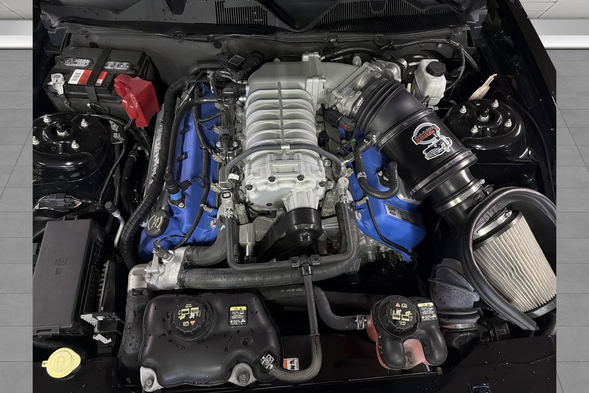 FORD Shelby GT500 *SVT*-image-22