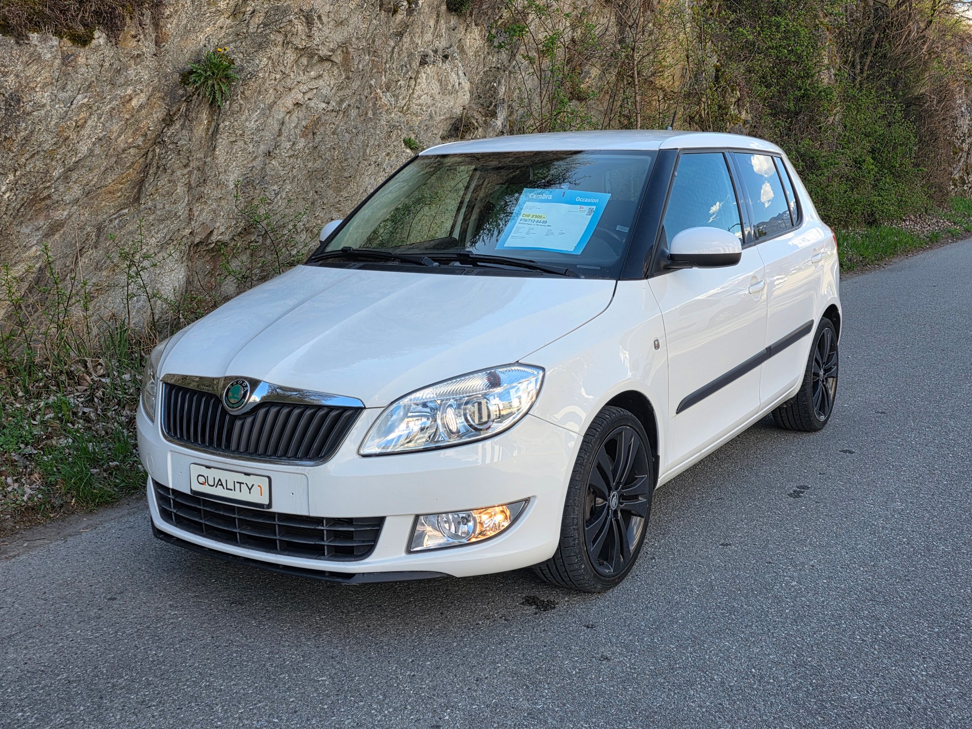 SKODA Fabia 1.2 TSI Family DSG-image-0