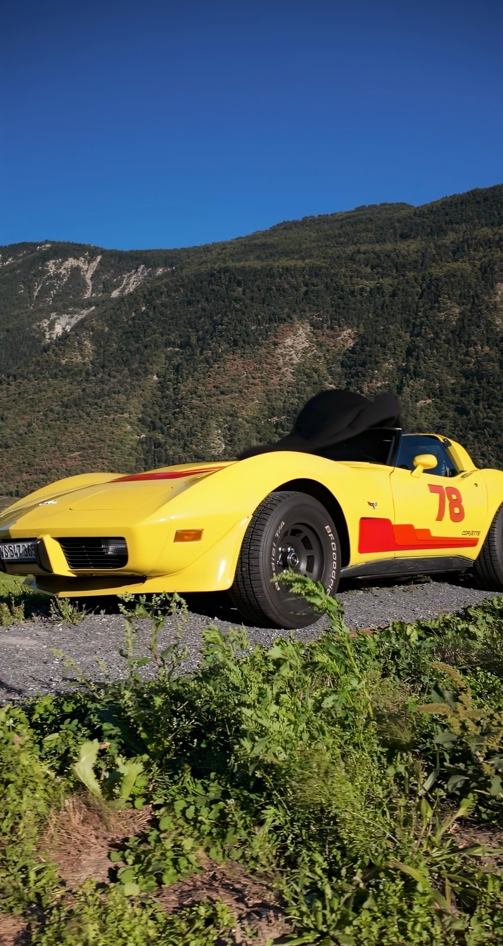 CHEVROLET CORVETTE-image-0