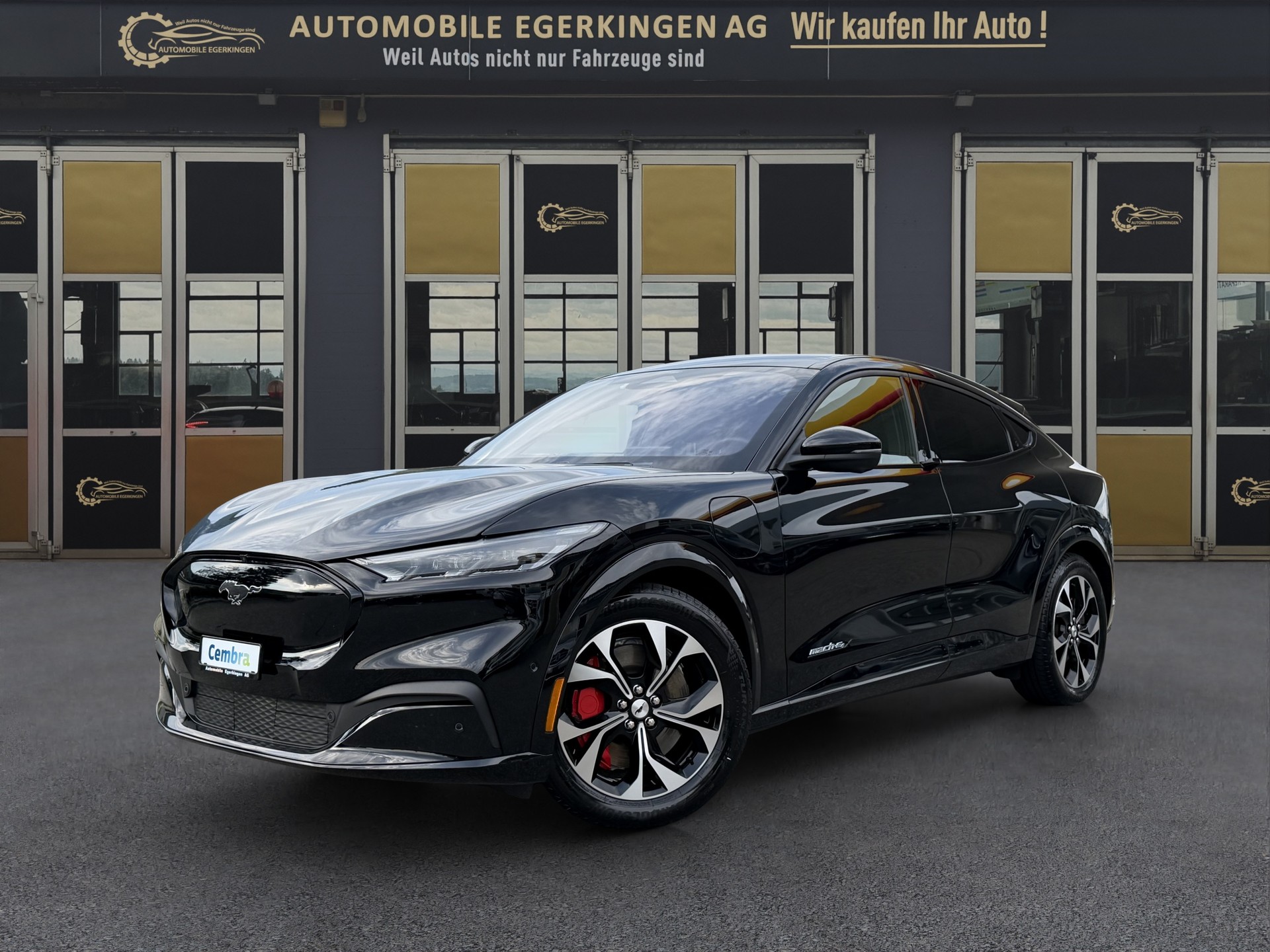 FORD Mustang Mach-E Premium AWD-image-0