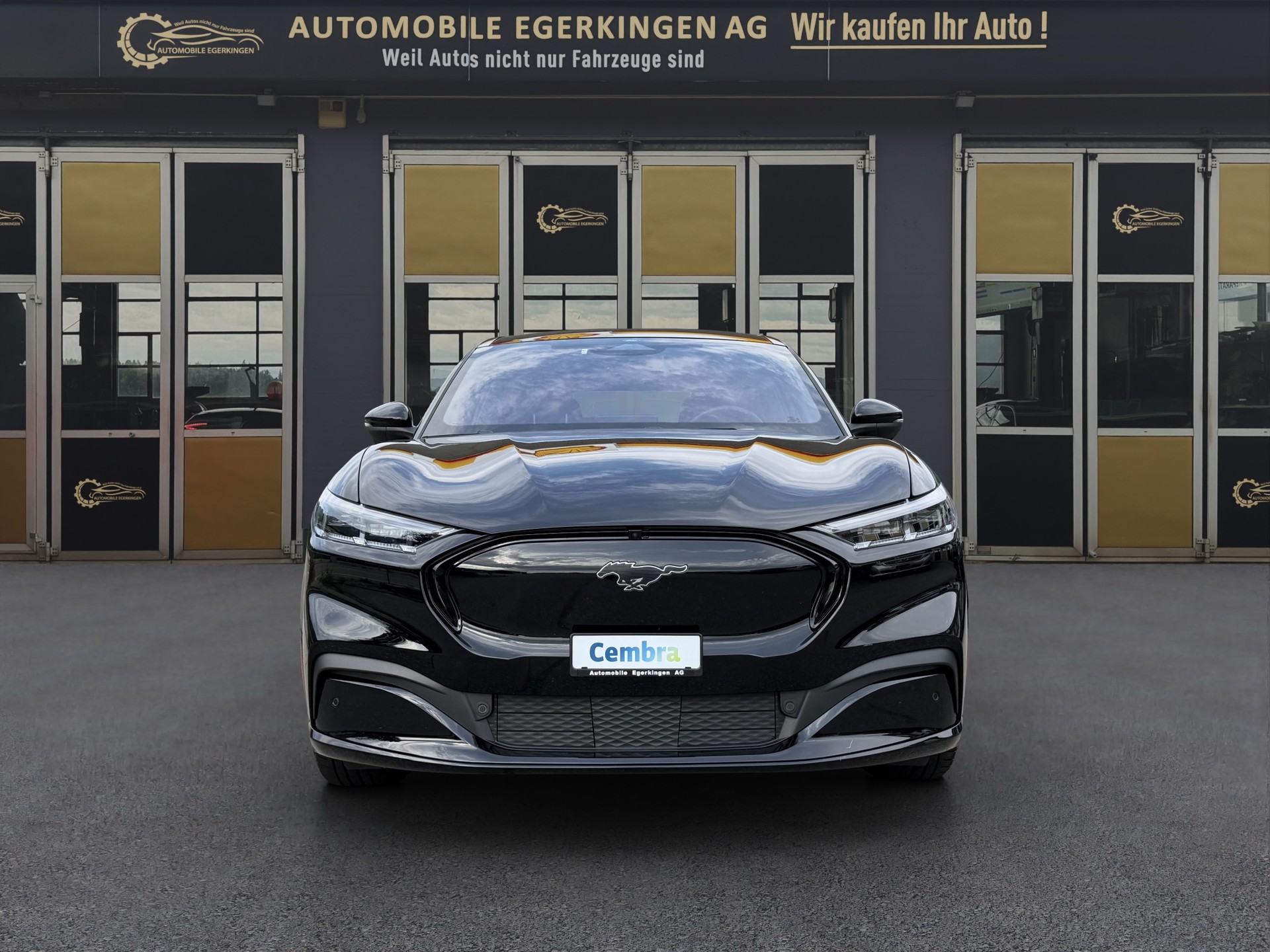 FORD Mustang Mach-E Premium AWD-image-1