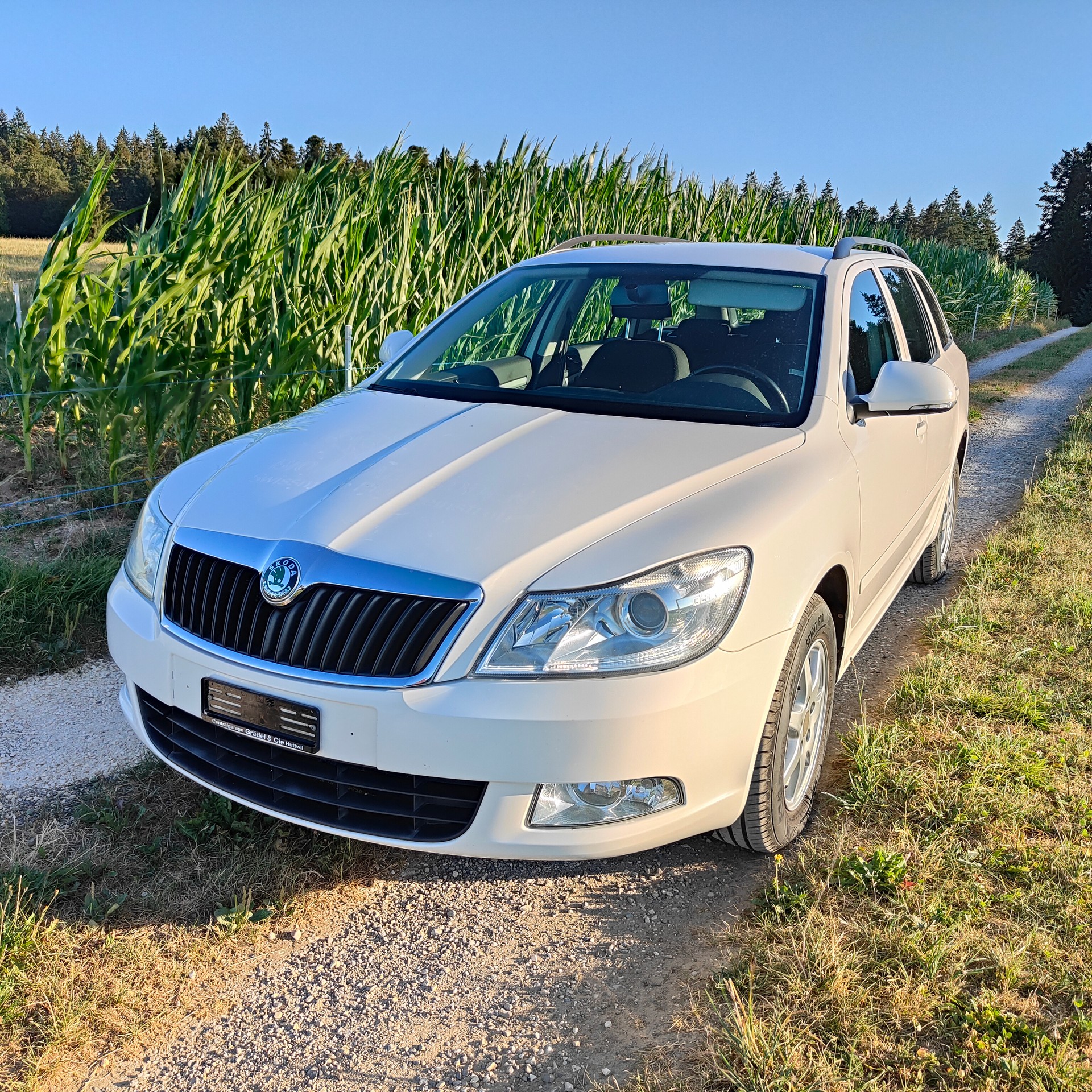 SKODA 1.6 TDI Ambition 4x4-image-0