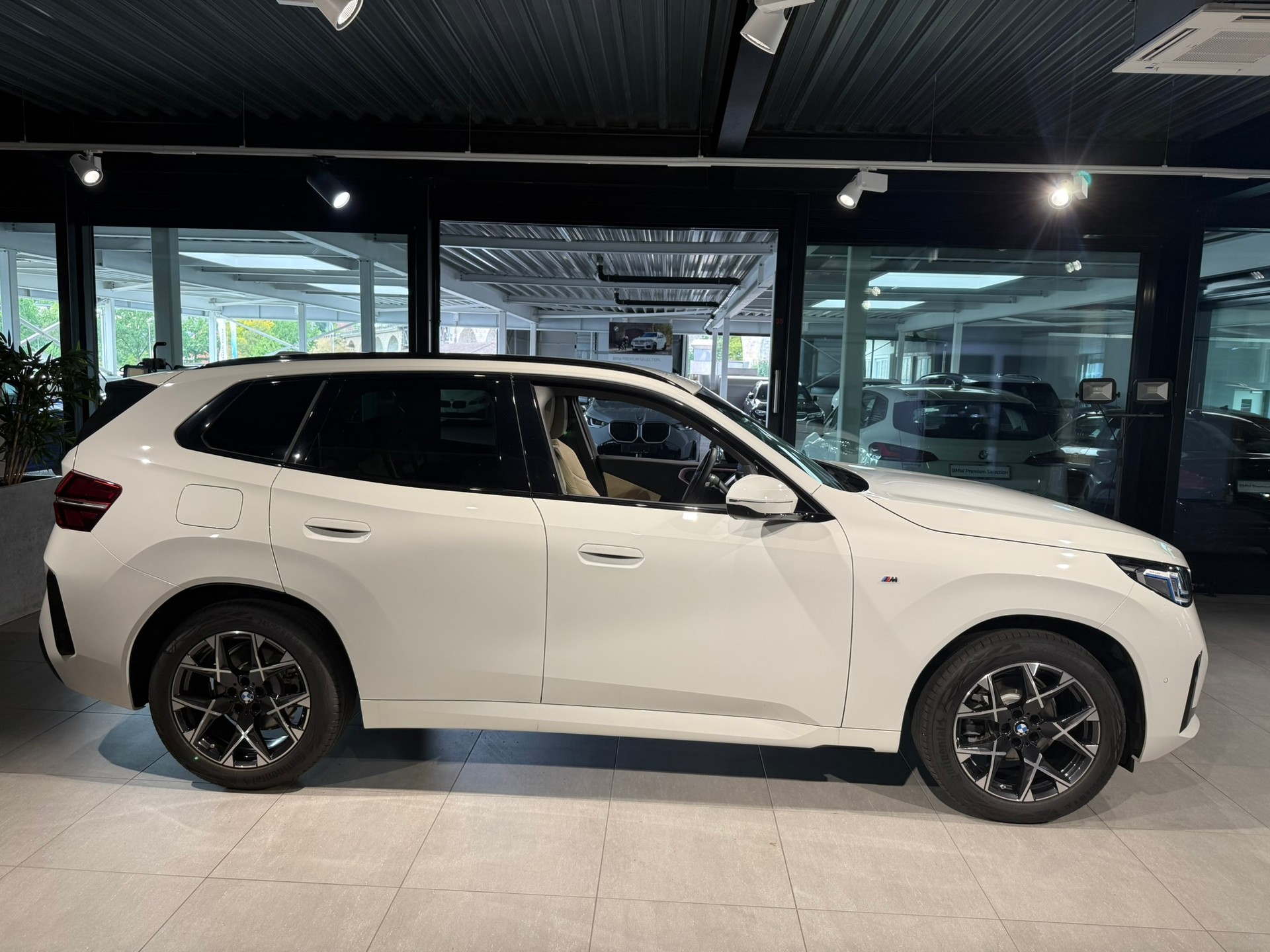 BMW X3 xDrive 48V 20d M Sport-showroom-element-3