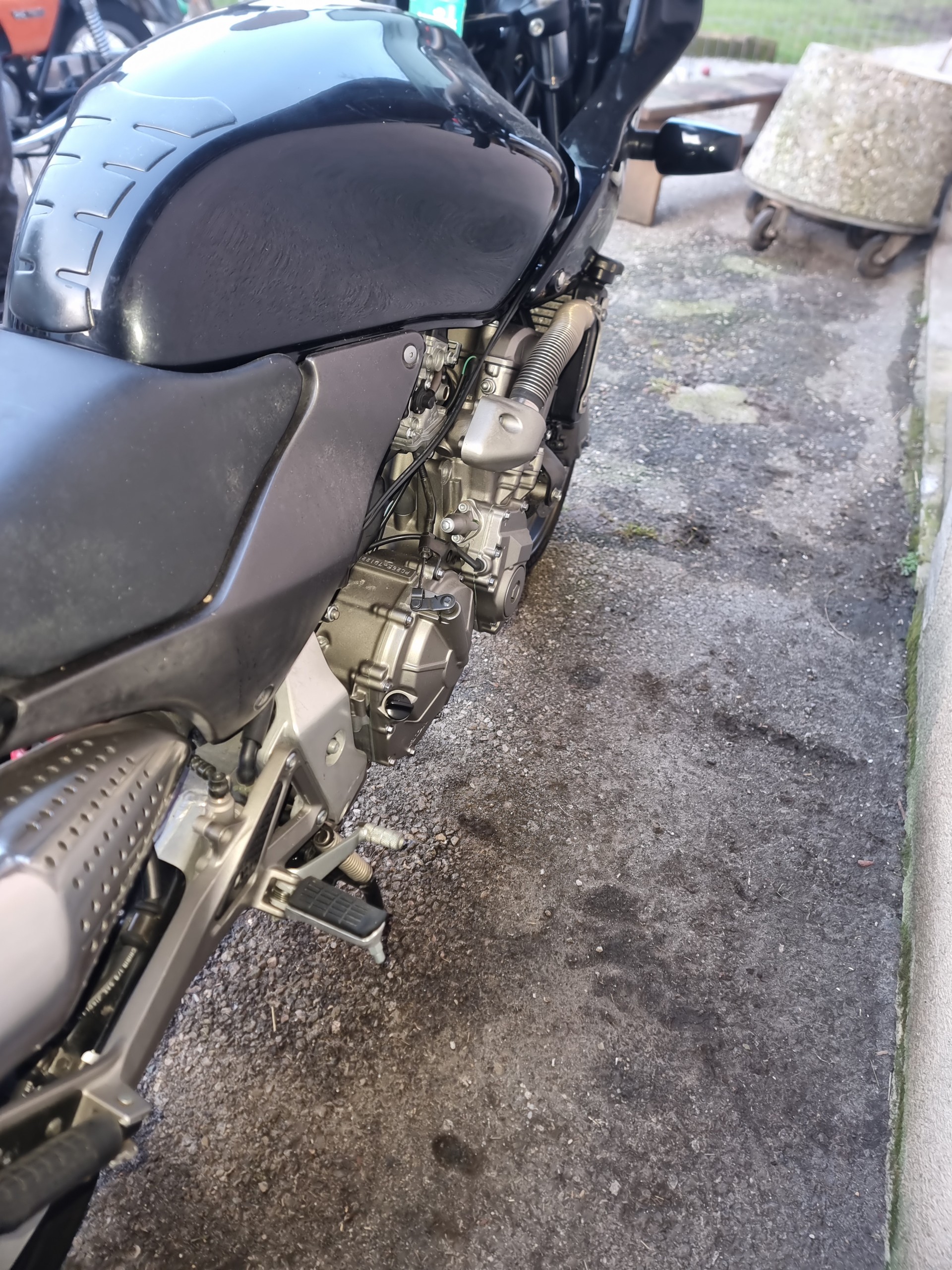 HONDA CB 600 F Hornet-image-5