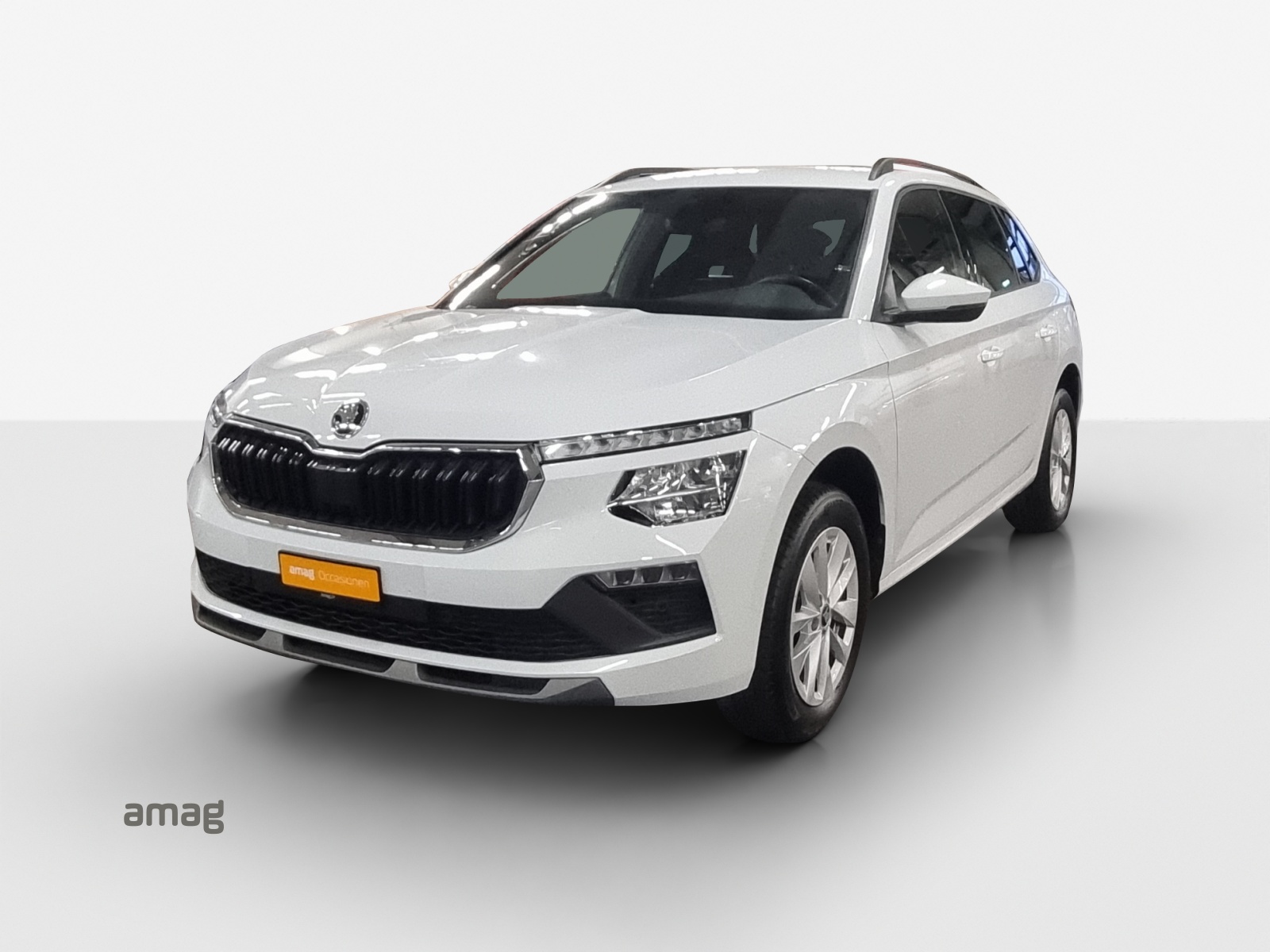 SKODA Kamiq 1.0 TSI Selection DSG-image-0