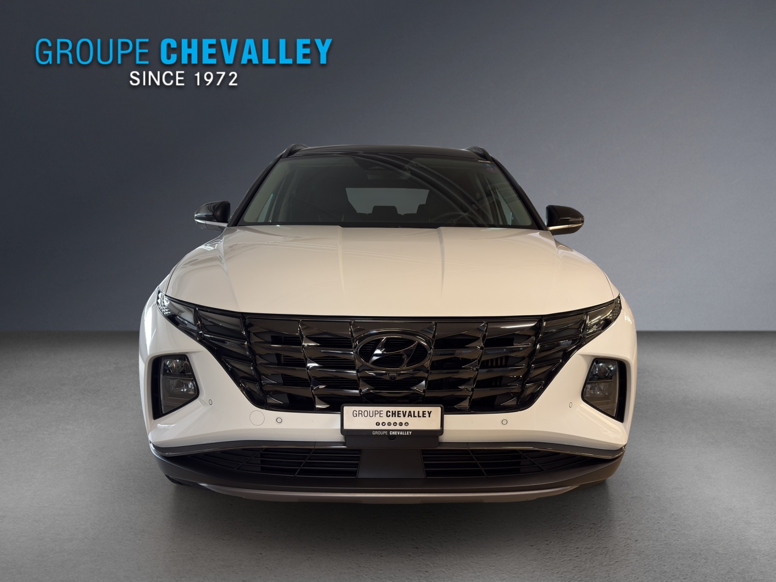 HYUNDAI Tucson 1.6 HEV Vertex 4WD-image-1