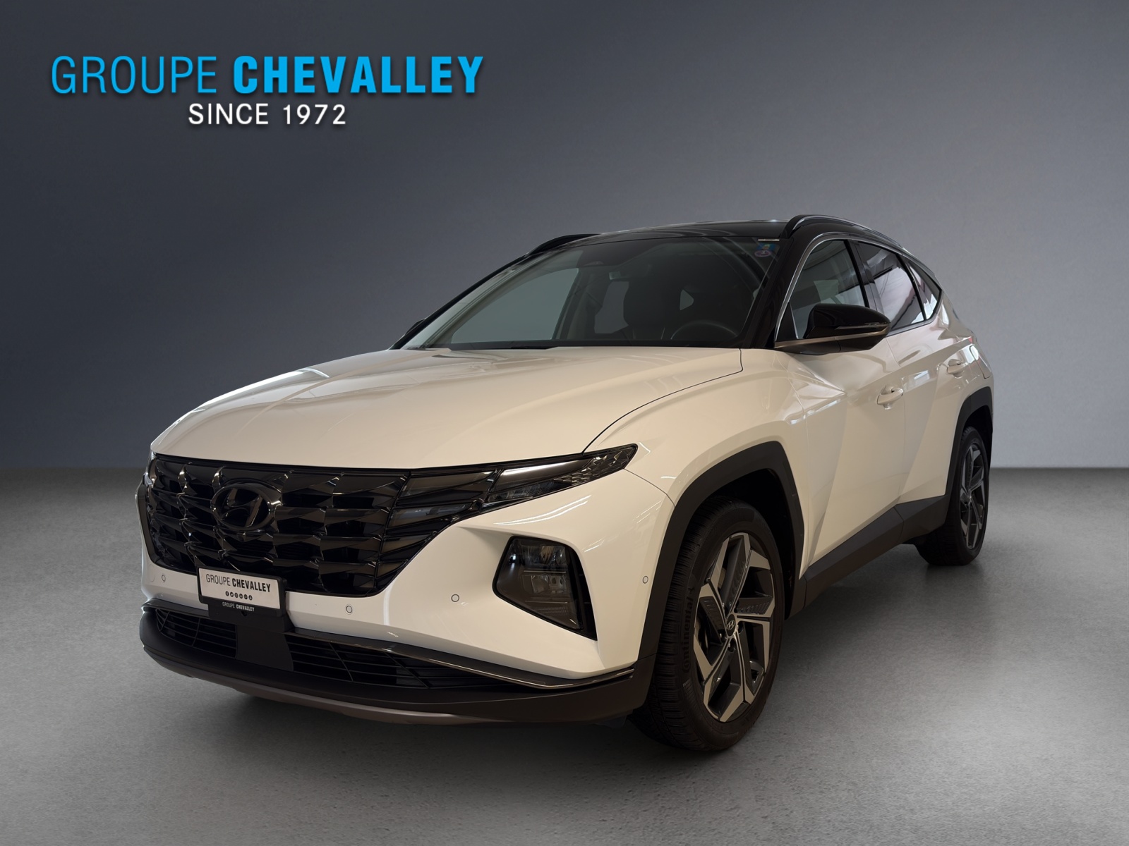 Photo HYUNDAI TUCSON Tucson 1.6 HEV Vertex 4WD