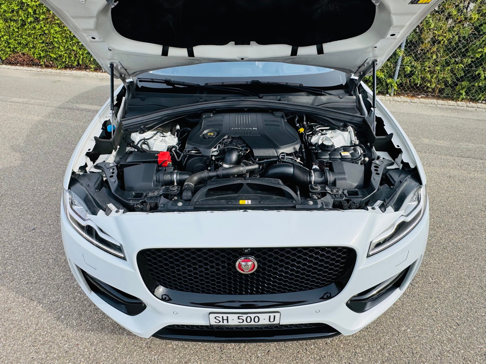 JAGUAR F-Pace 3.0 TD R-Sport AWD Automatik-image-14