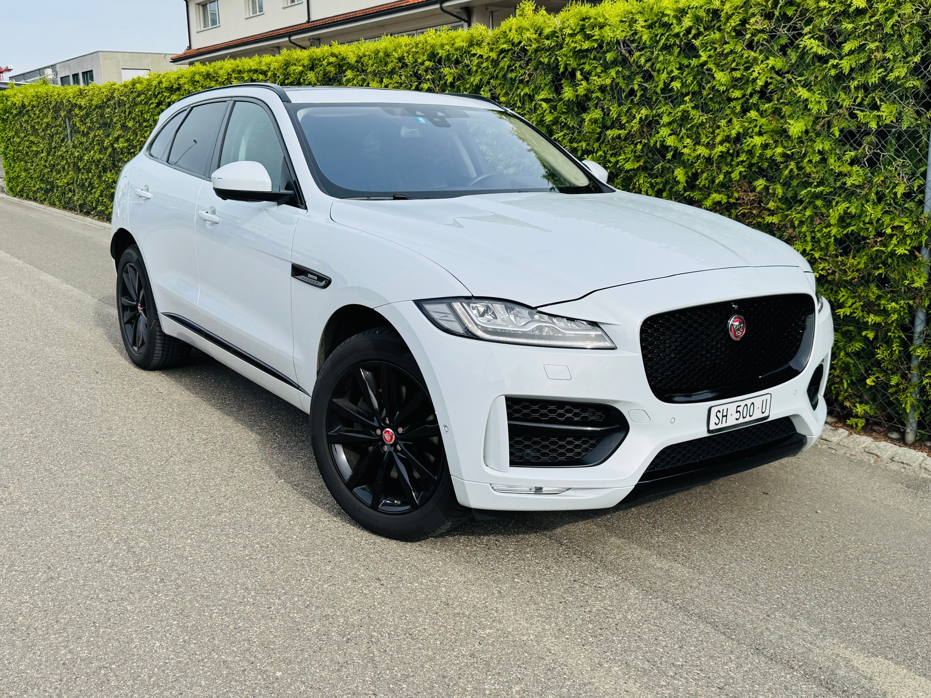 JAGUAR F-Pace 3.0 TD R-Sport AWD Automatik-image-0