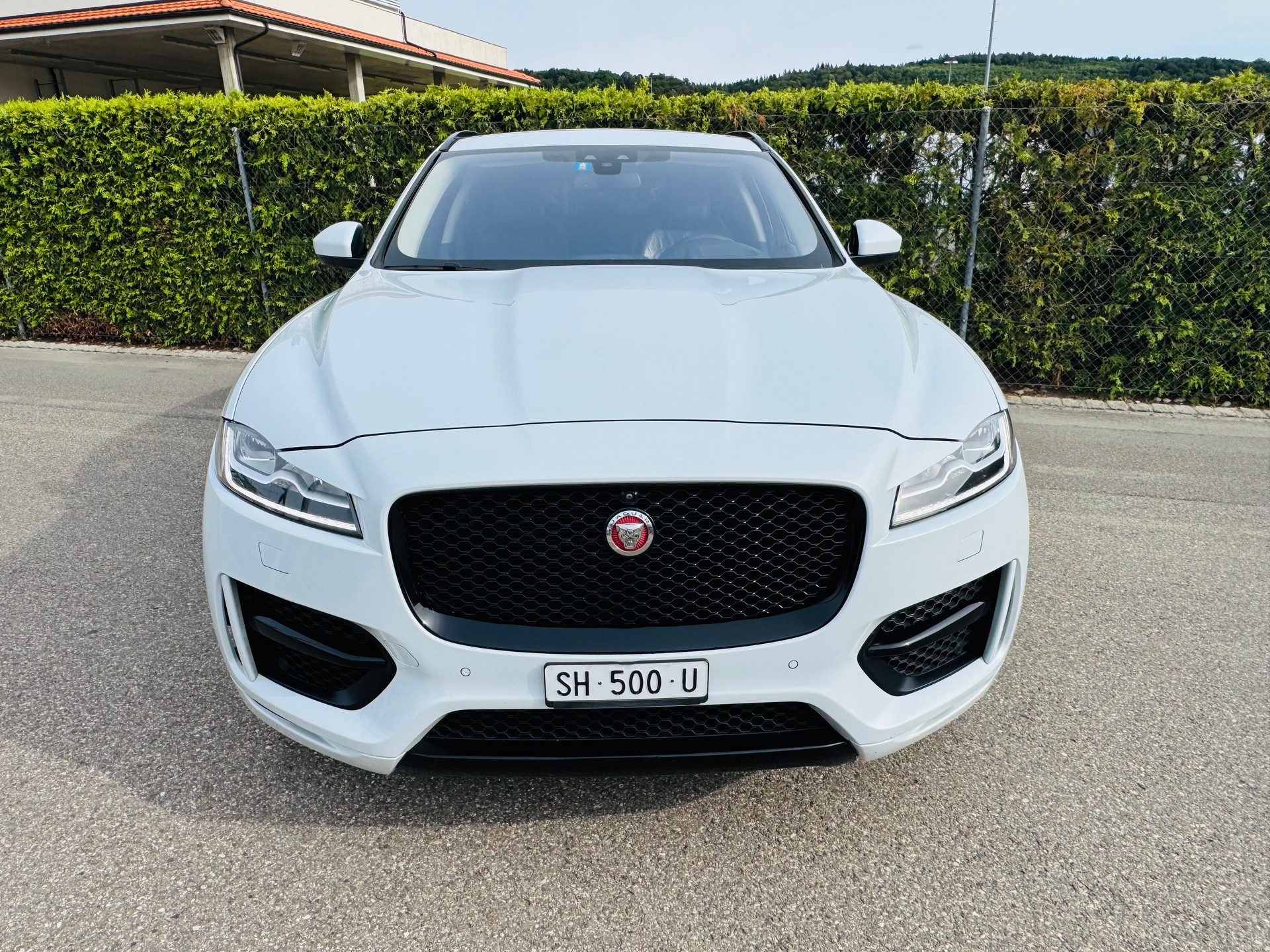 JAGUAR F-Pace 3.0 TD R-Sport AWD Automatik-image-2