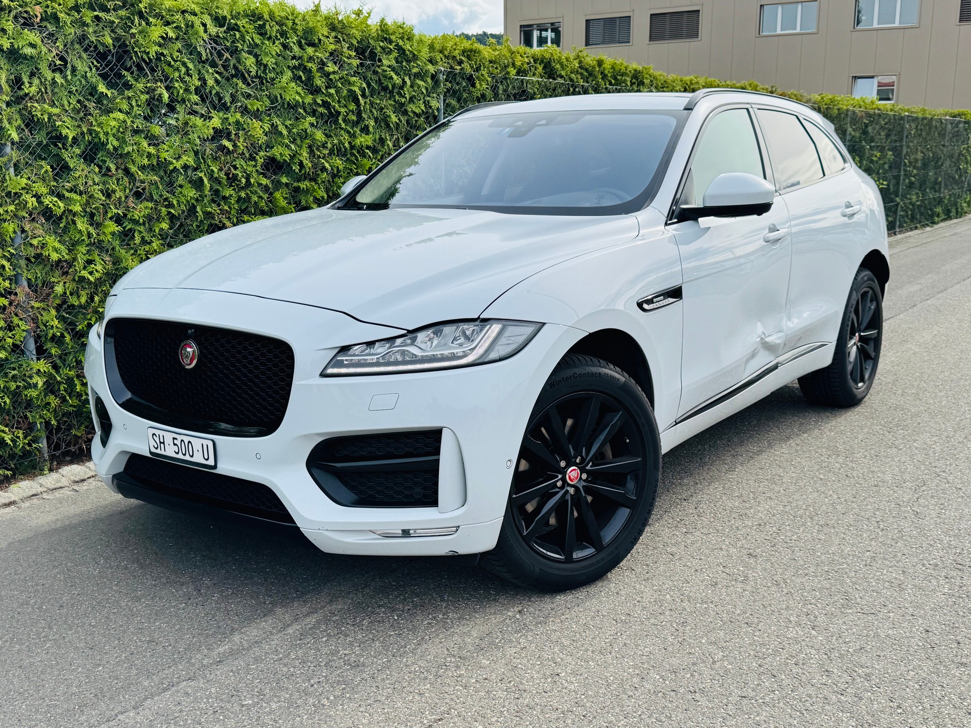 JAGUAR F-Pace 3.0 TD R-Sport AWD Automatik-image-1
