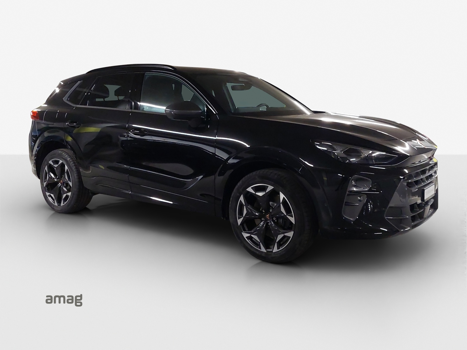 CUPRA Terramar 2.0 TSI DSG 4Drive VZ-image-5