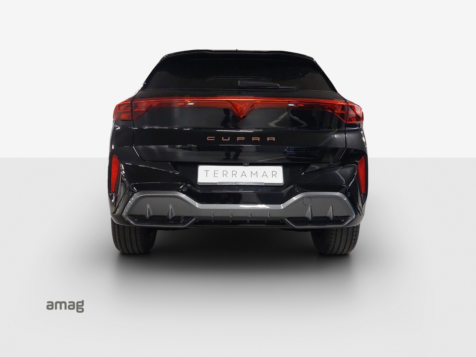 CUPRA Terramar 2.0 TSI DSG 4Drive VZ-image-3
