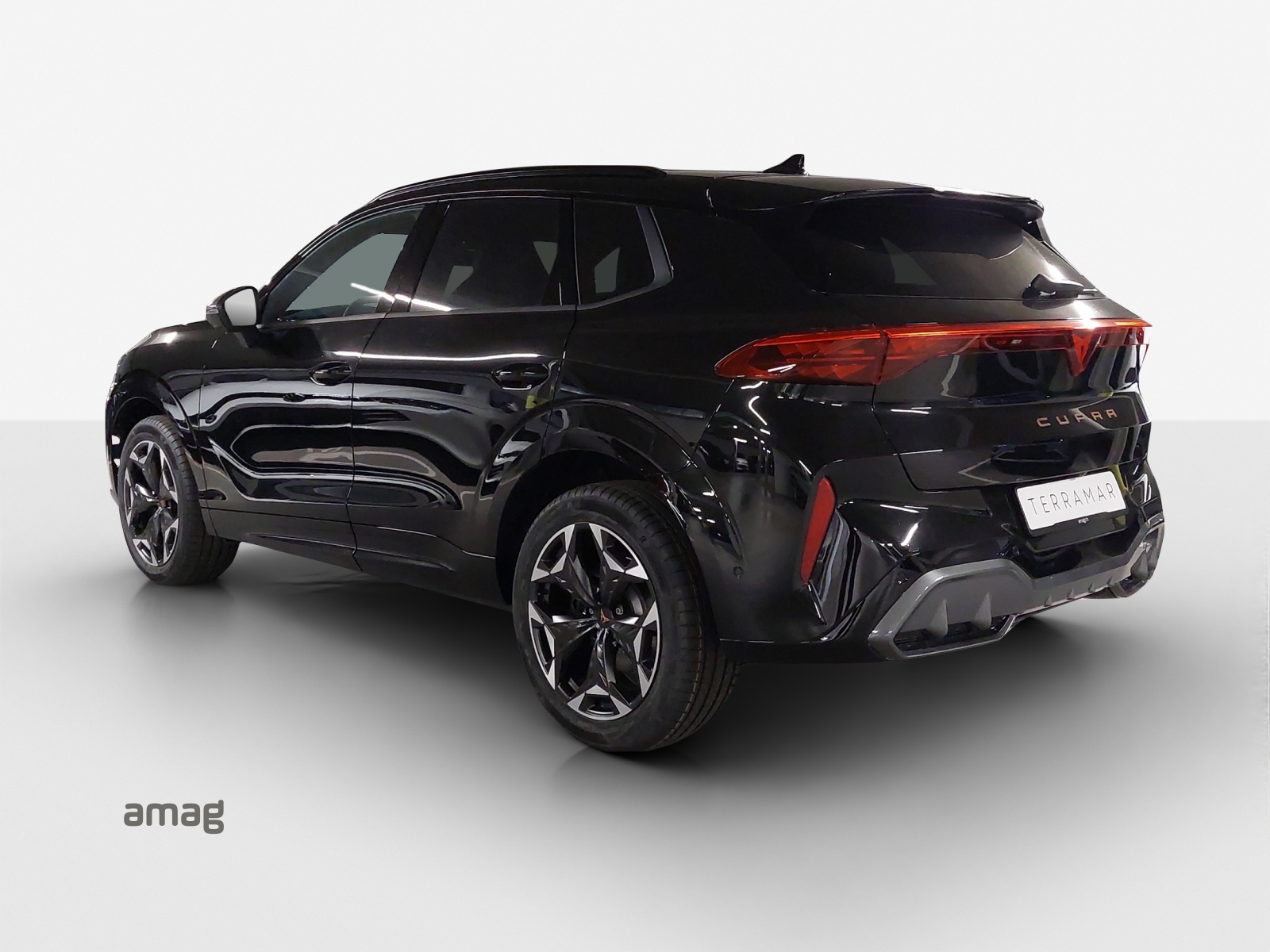 CUPRA Terramar 2.0 TSI DSG 4Drive VZ-image-2