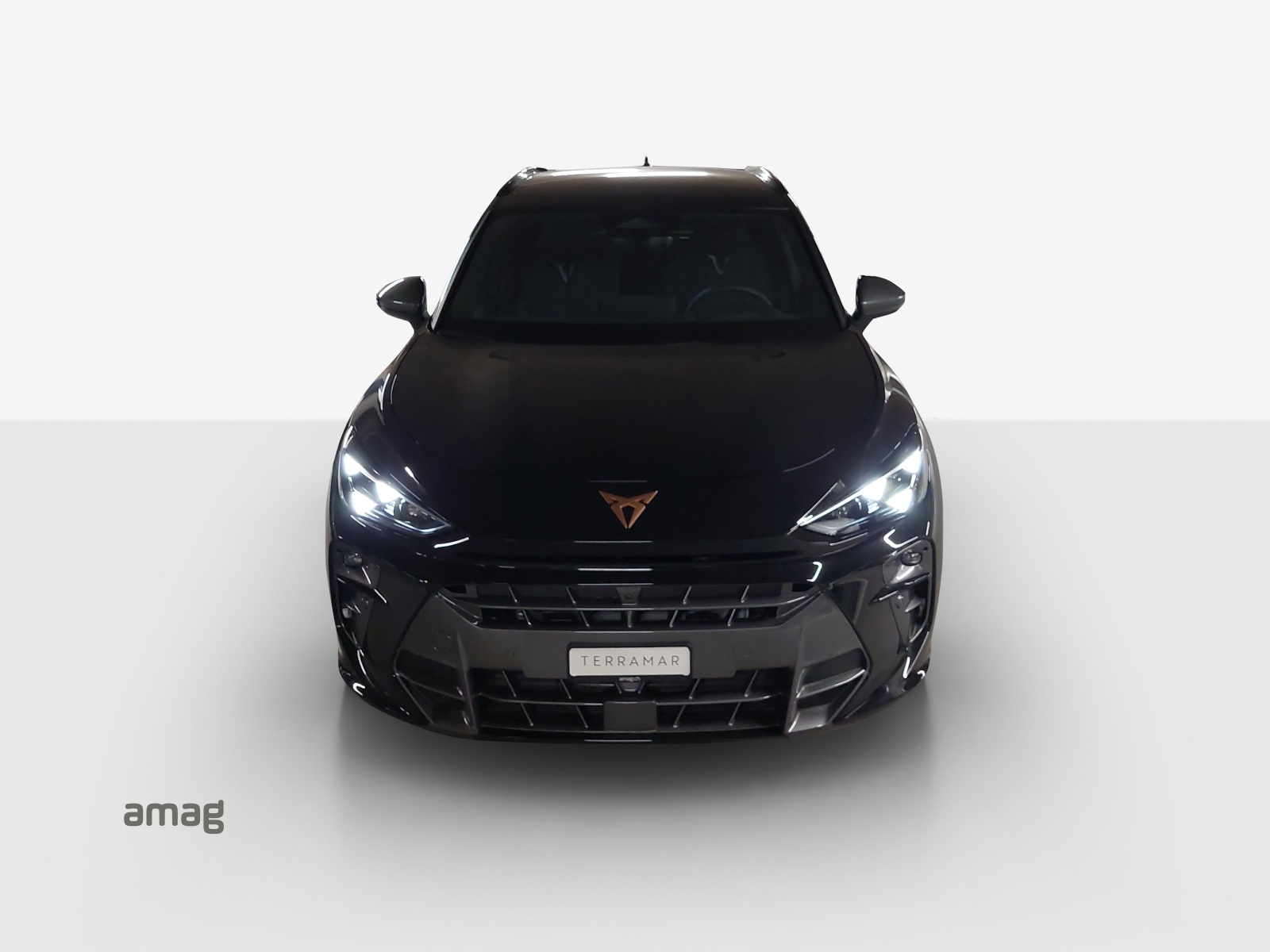 CUPRA Terramar 2.0 TSI DSG 4Drive VZ-image-15