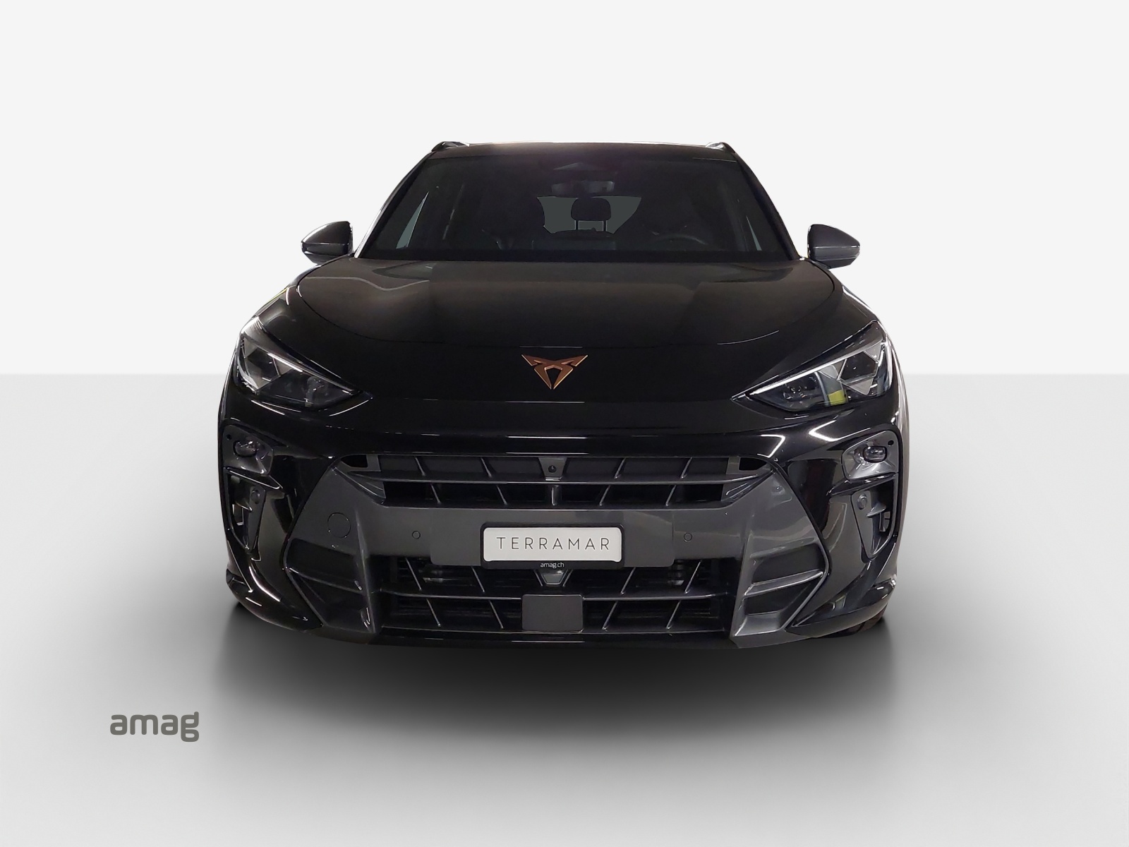 CUPRA Terramar 2.0 TSI DSG 4Drive VZ-image-6