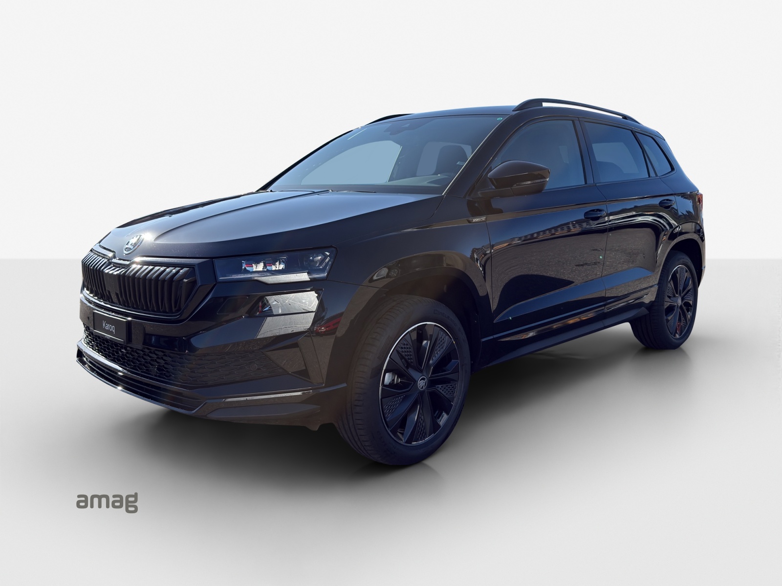 SKODA Karoq 1.5 TSI Dynamic DSG-image-0